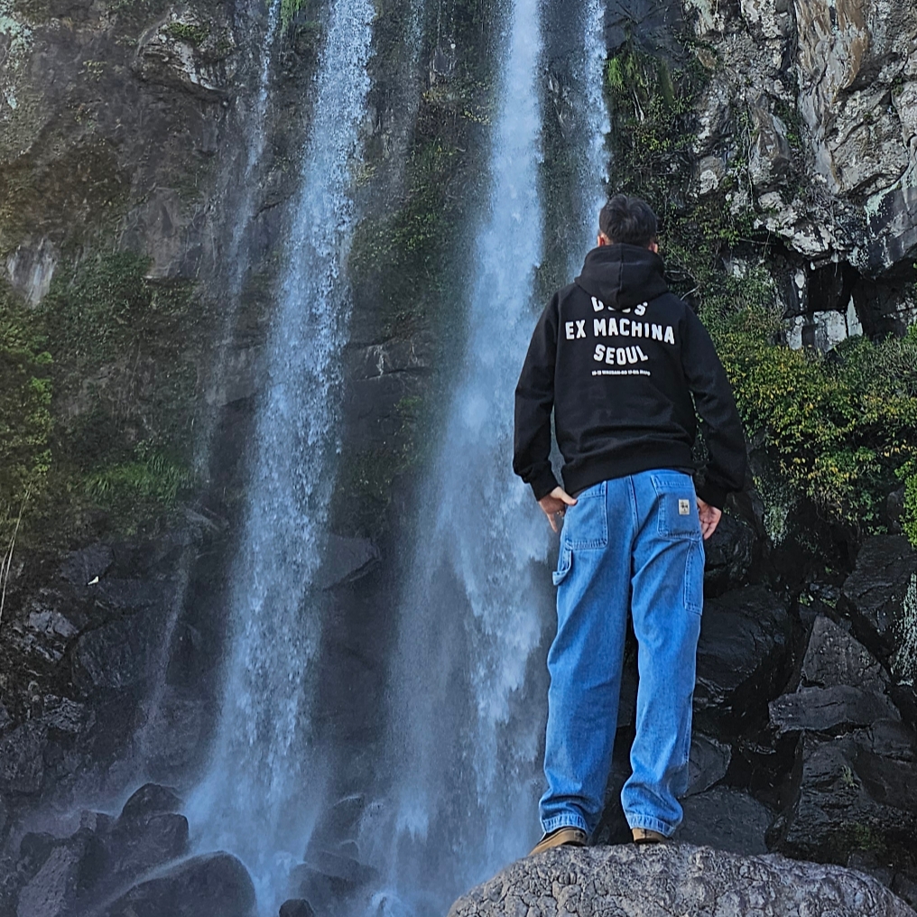 Deus Ex Machina Seoul Address Hoodie Black, Stussy Denim Work Pants Blue 착용 스타일