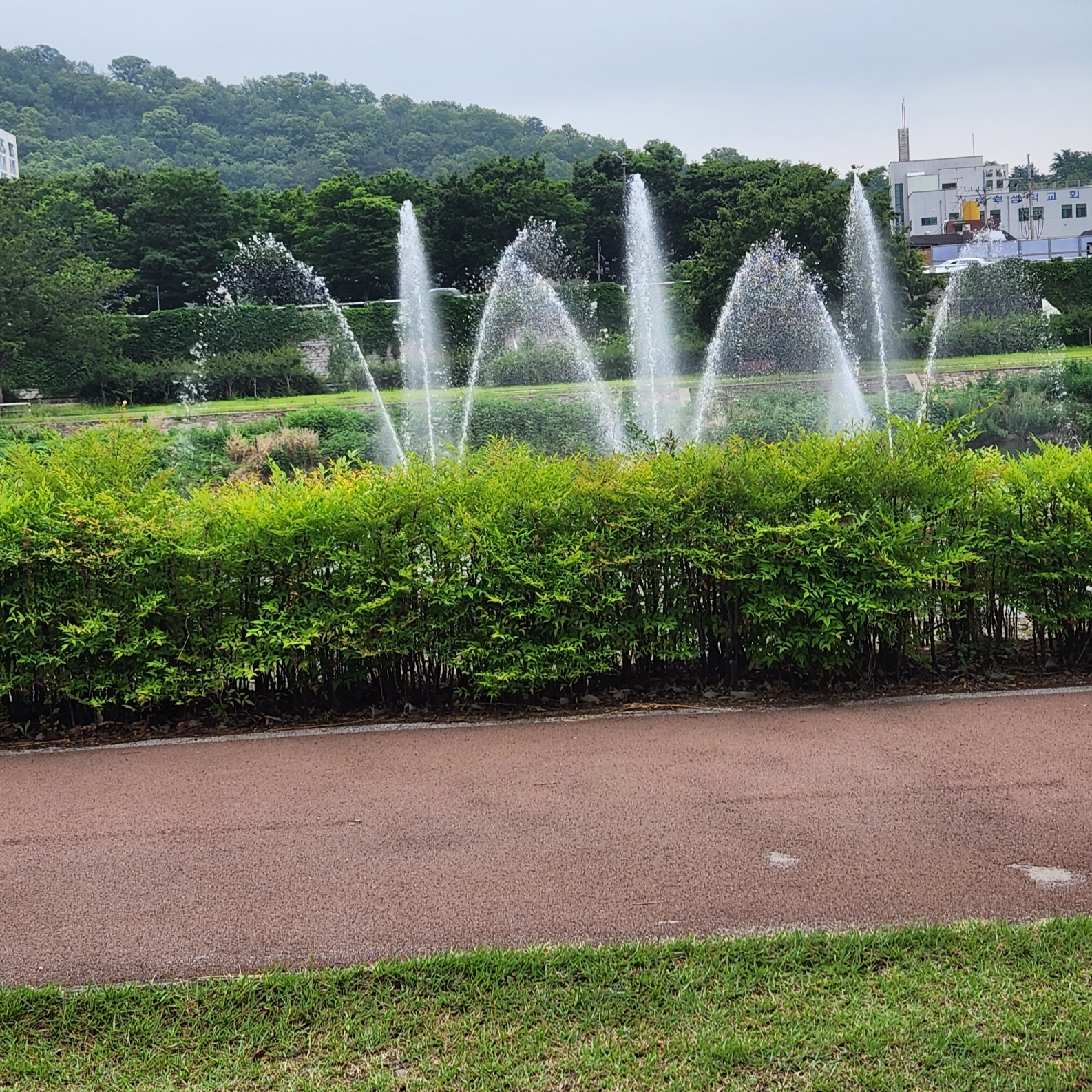 dipakgautam625님의 스타일