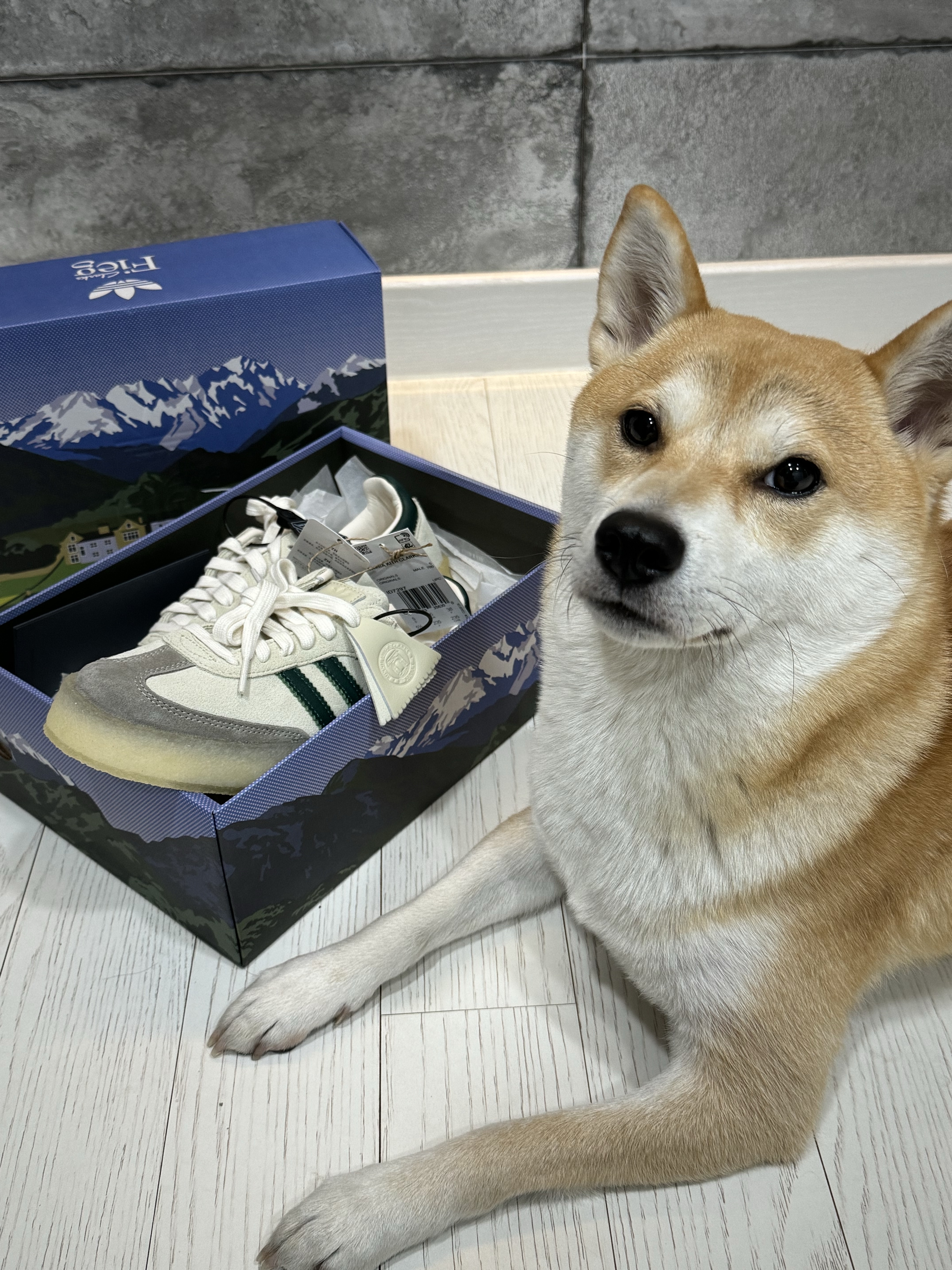 Adidas x Clarks x Ronnie Fieg 8th Street Samba Chalk White Green 착용 스타일 - 2