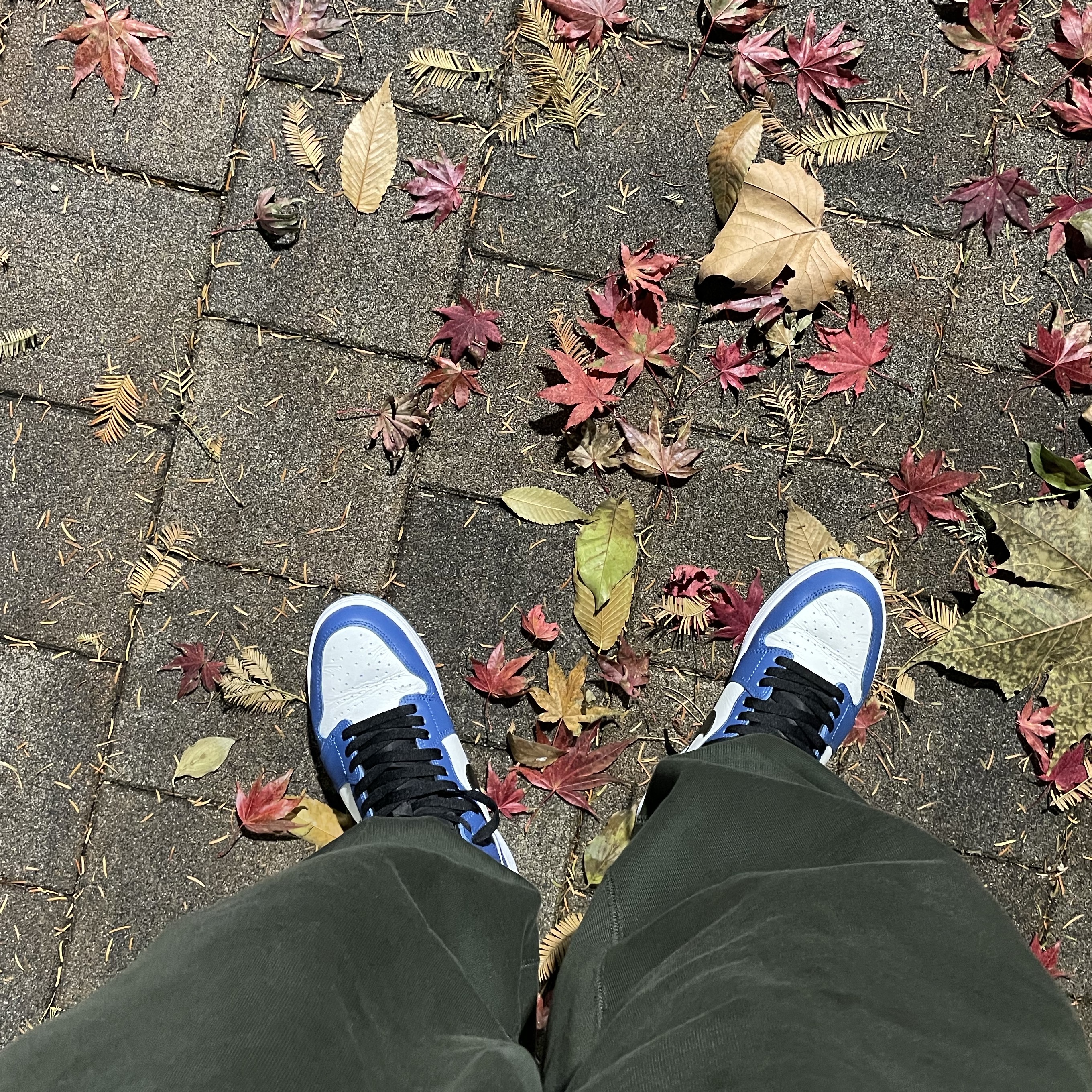 Nike x Billie Eilish NRG Fleece Hoodie Sequoia - US/EU, Nike x Billie Eilish NRG Fleece Pants Sequoia - Asia 착용 스타일 - 2