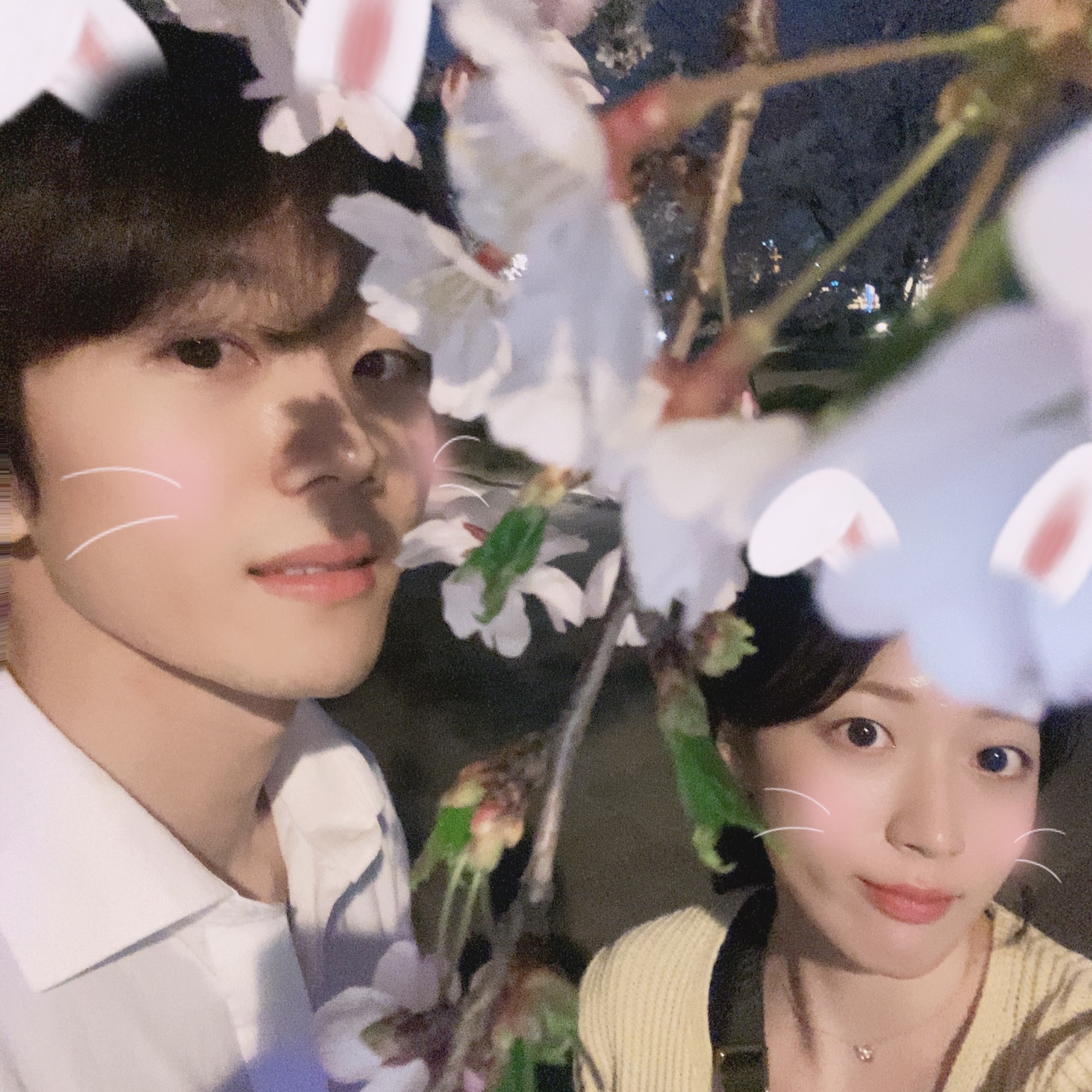avcabcabc님의 스타일