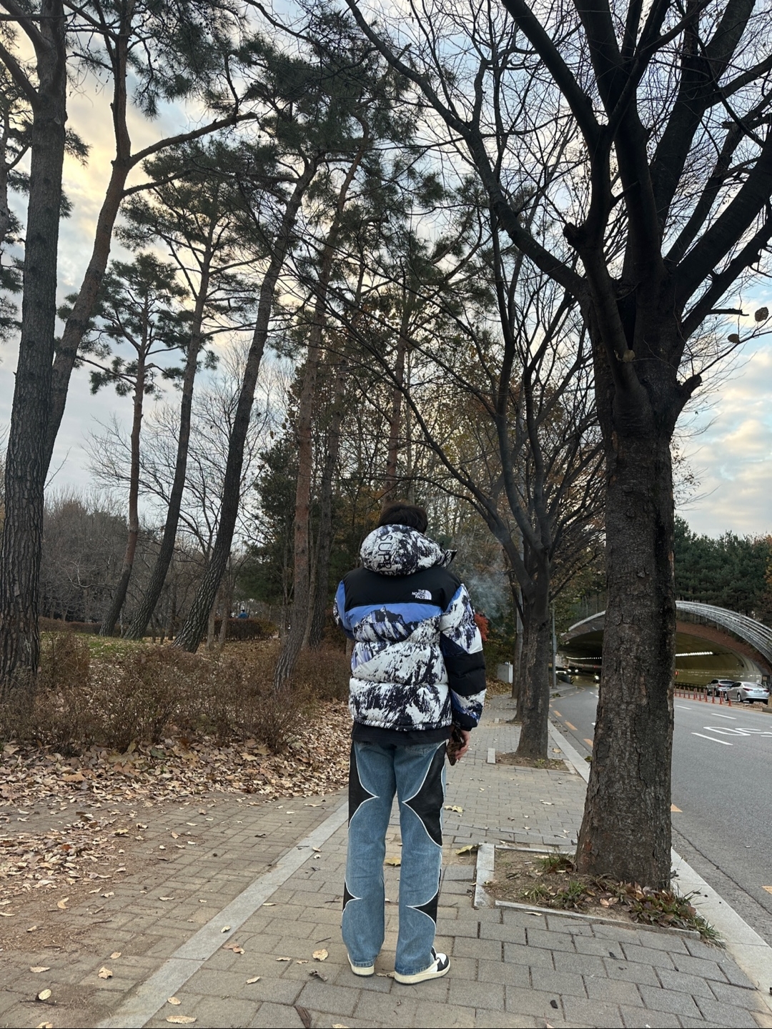Supreme x The North Face Mountain Baltoro Jacket Blue White - 17FW, Thug Club Leather Washing Pants Denim 착용 스타일