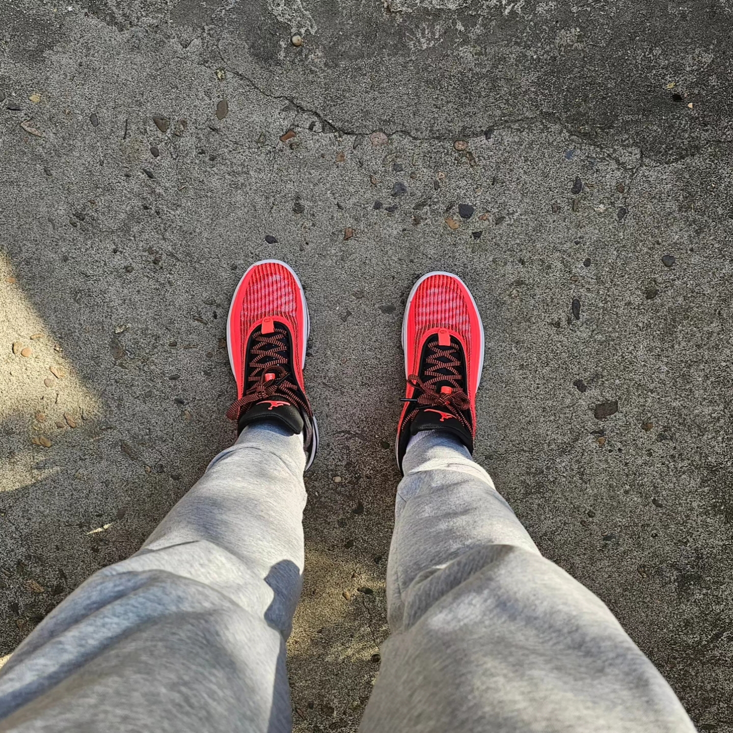 Jordan XXXVI Low PF Infrared 착용 스타일 - 4