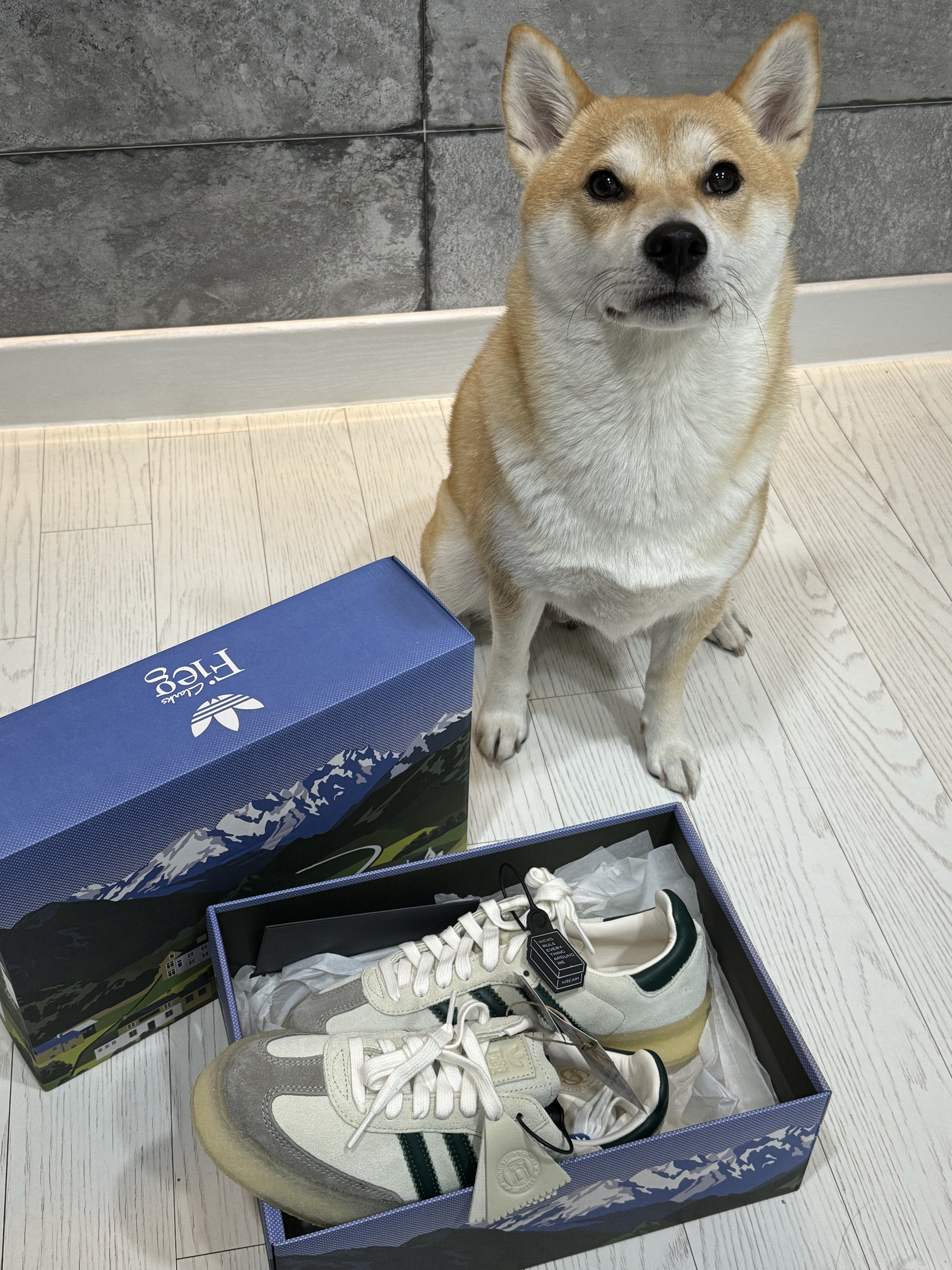 Adidas x Clarks x Ronnie Fieg 8th Street Samba Chalk White Green 착용 스타일 - 1