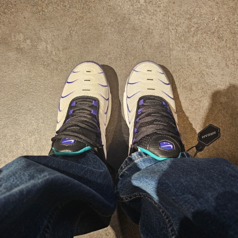 Nike Air Max Plus Grape Ice 착용 스타일 - 2