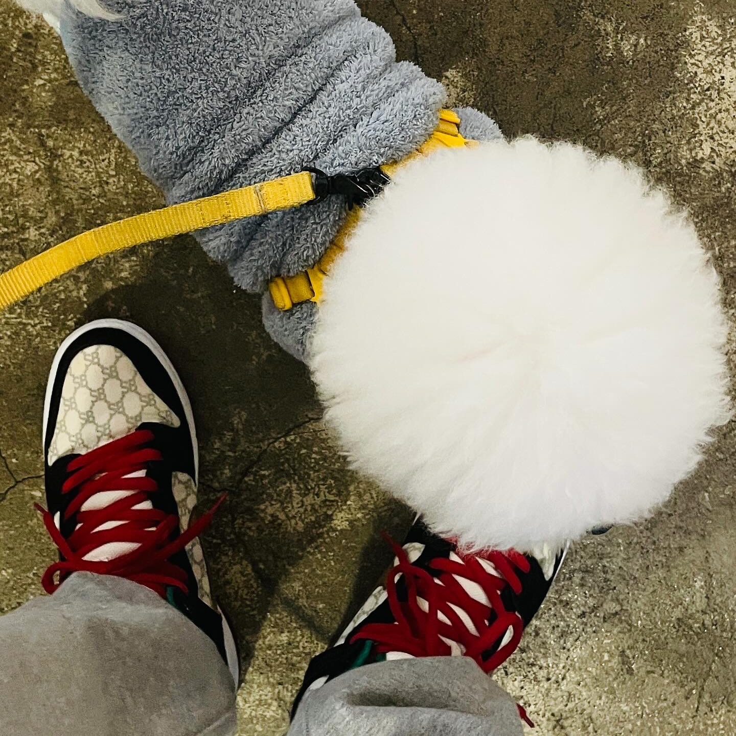 Nike x Black Sheep Dunk High SB Paid in Full, Nike x Stussy NRG RA Fleece Pants Dark Grey Heather (DJ9491-063) 착용 스타일 - 1