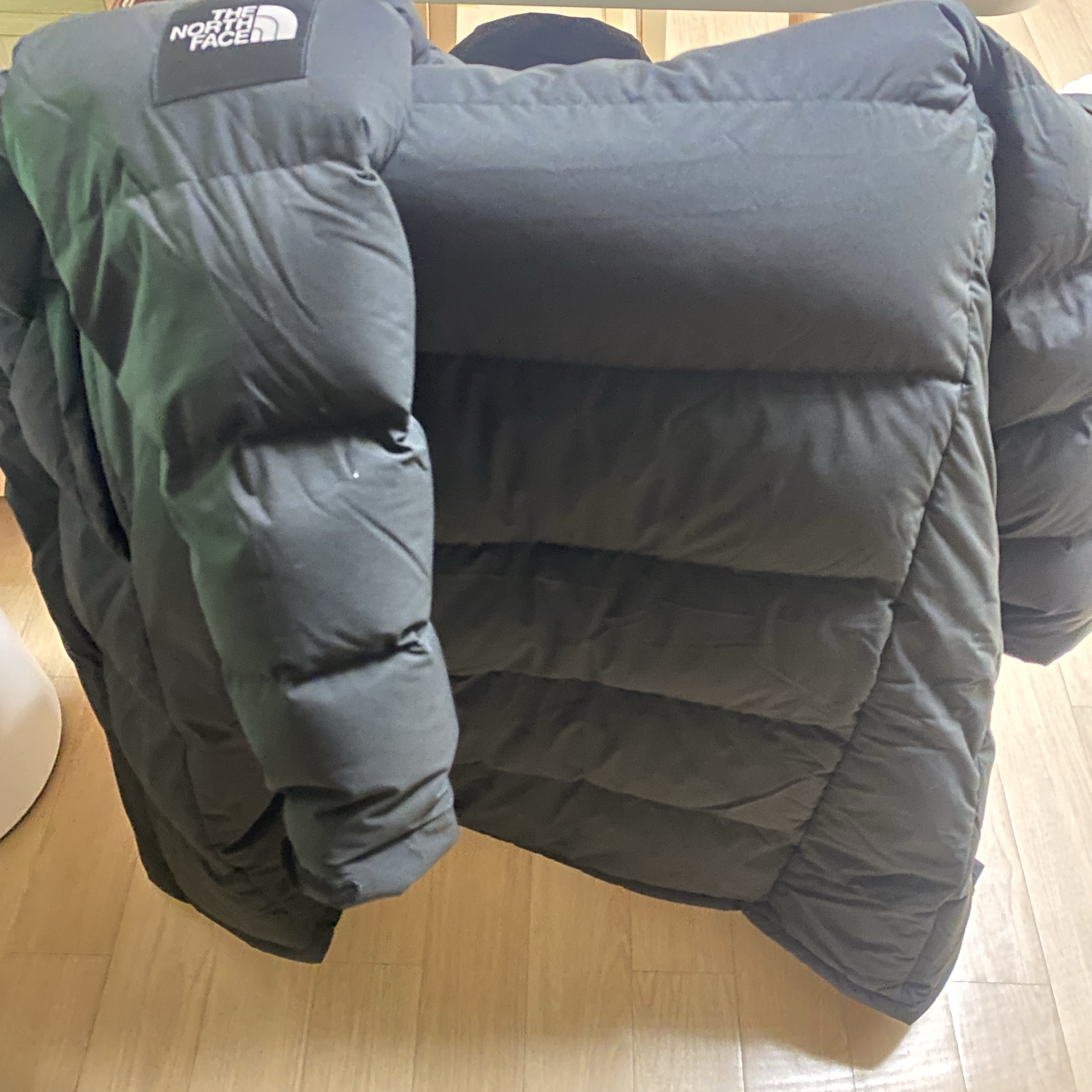 The North Face White Label Go Free Down Coat Black 착용 스타일