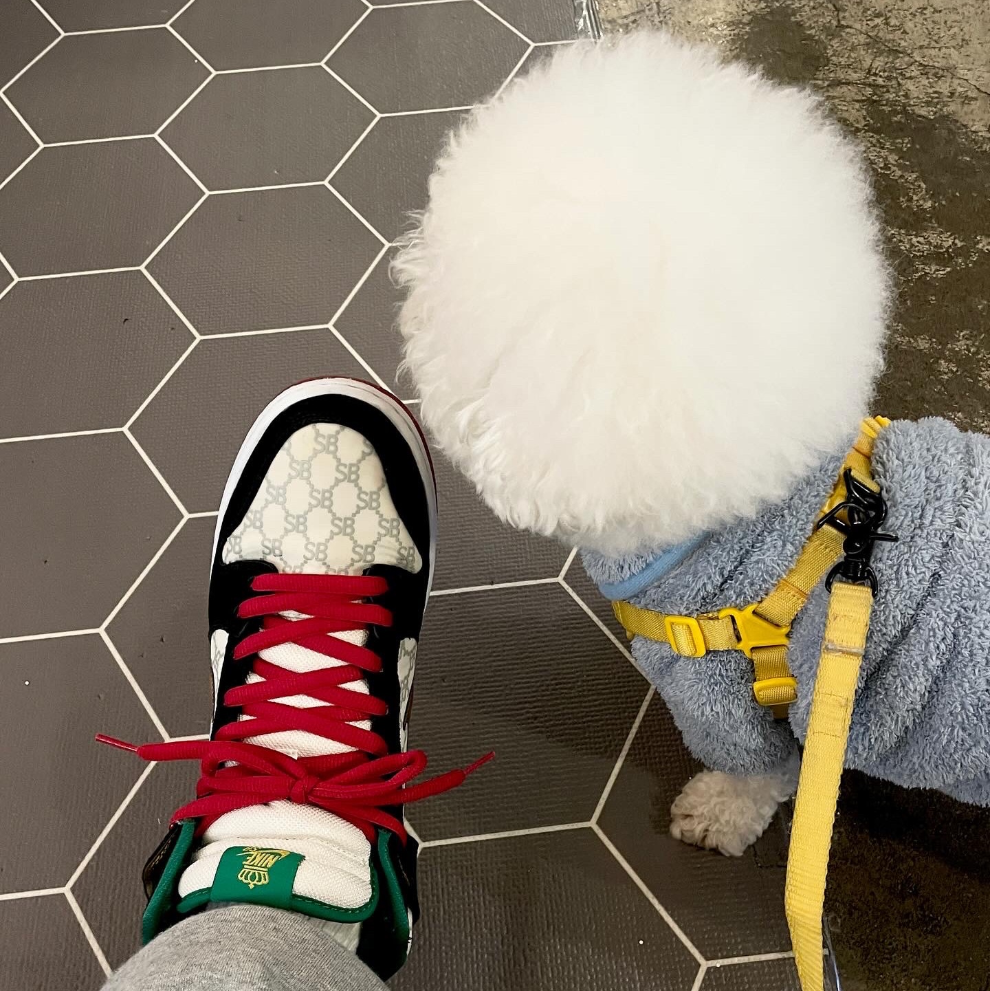 Nike x Black Sheep Dunk High SB Paid in Full, Nike x Stussy NRG RA Fleece Pants Dark Grey Heather (DJ9491-063) 착용 스타일 - 2