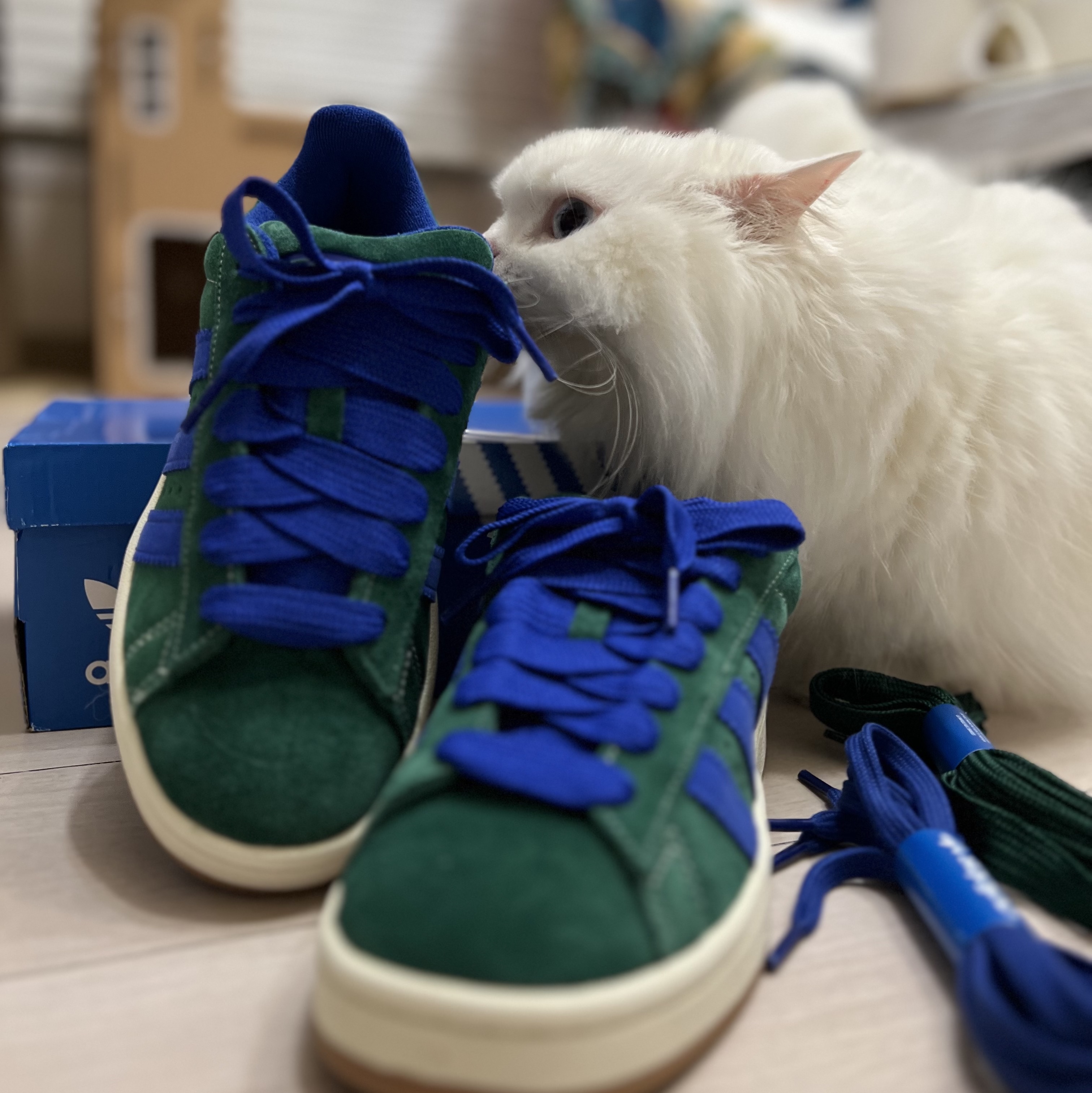Adidas Campus 00s Dark Green Semi Lucid Blue 착용 스타일