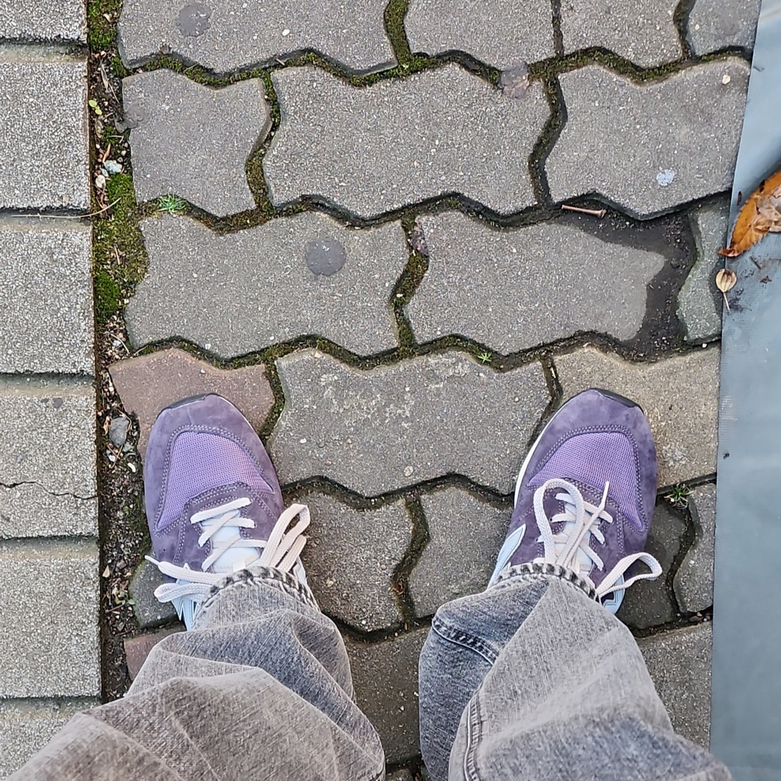 New Balance 996 Purple 착용 스타일