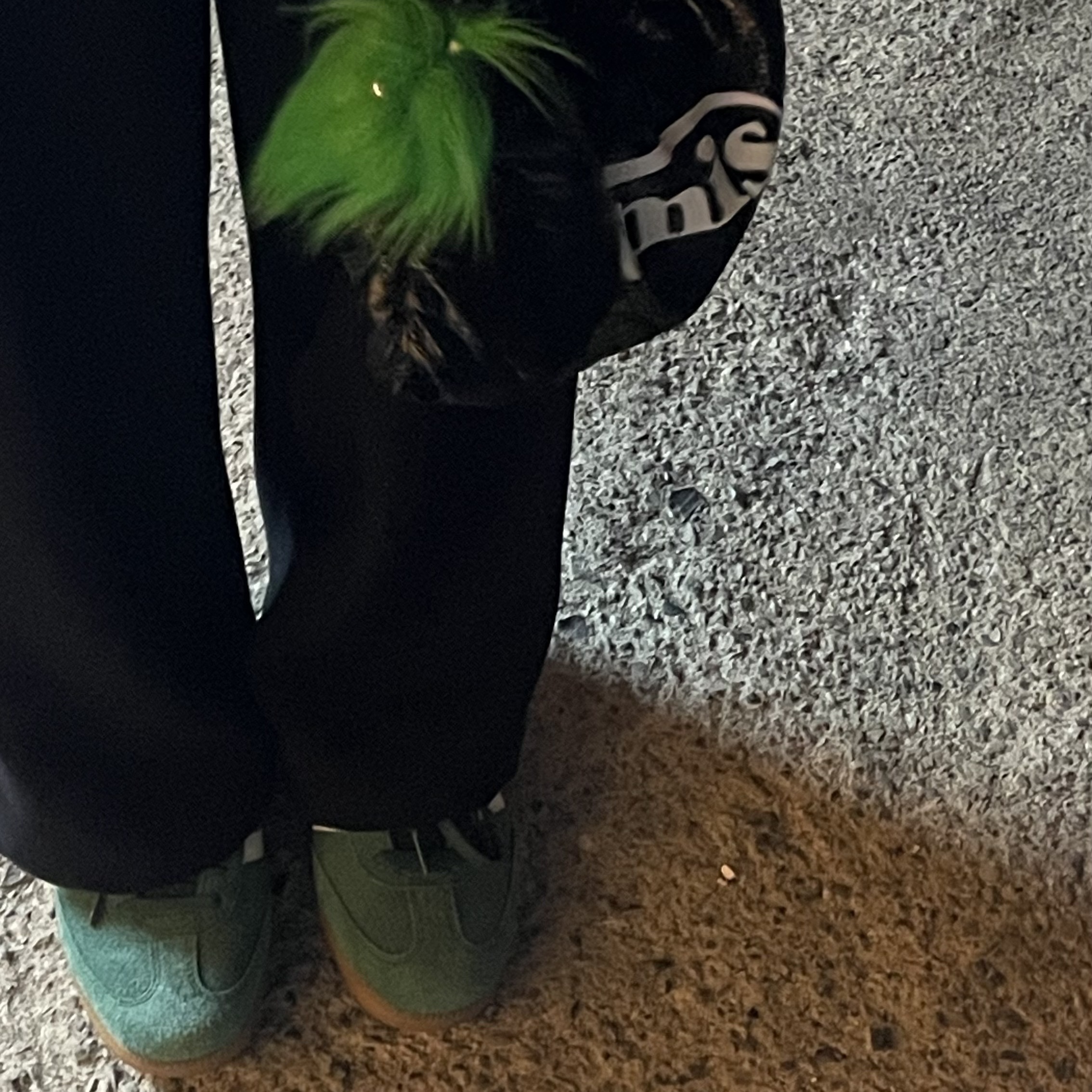 Adidas Samba OG Collegiate Green, Emis Glossy Shirring Hobo Bag Black 착용 스타일