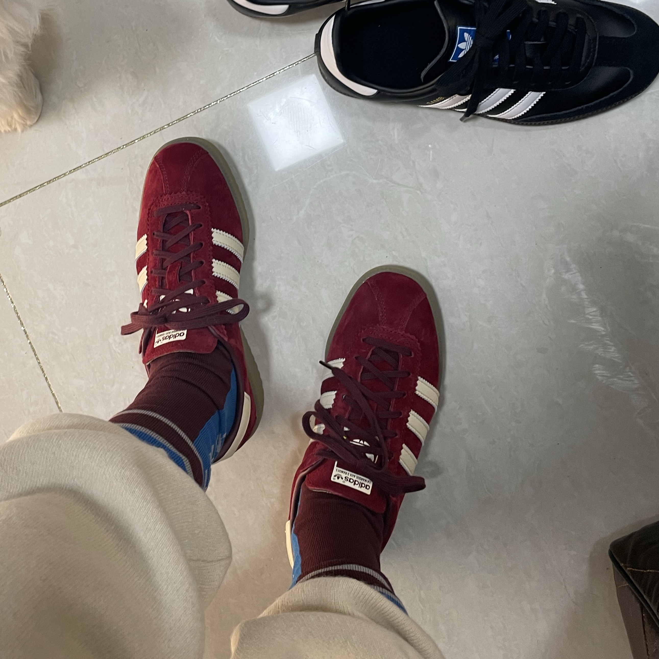 Adidas Bermuda College Burgundy 착용 스타일