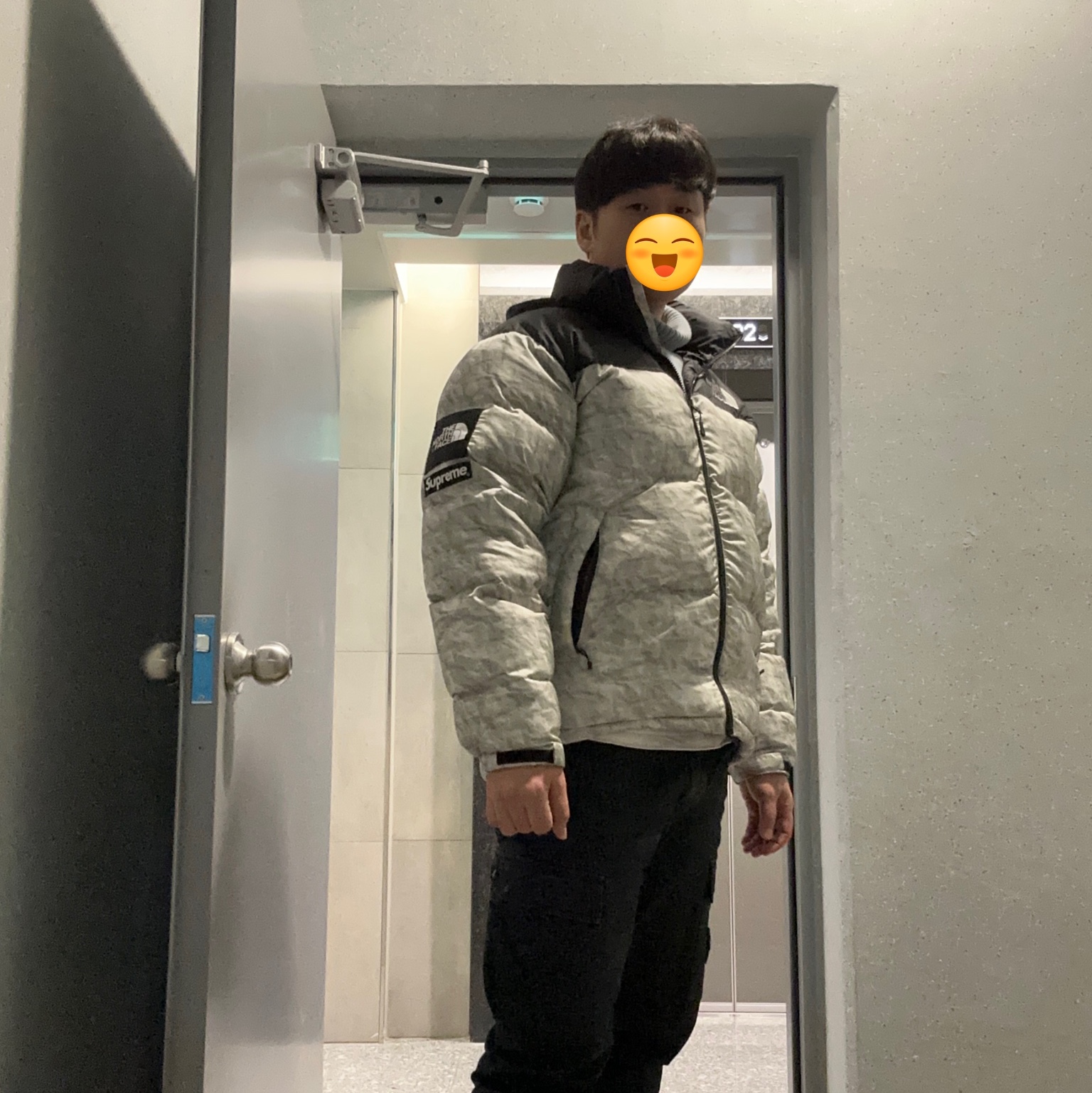 Supreme x The North Face Paper Print Nuptse Jacket - 19FW 착용 스타일