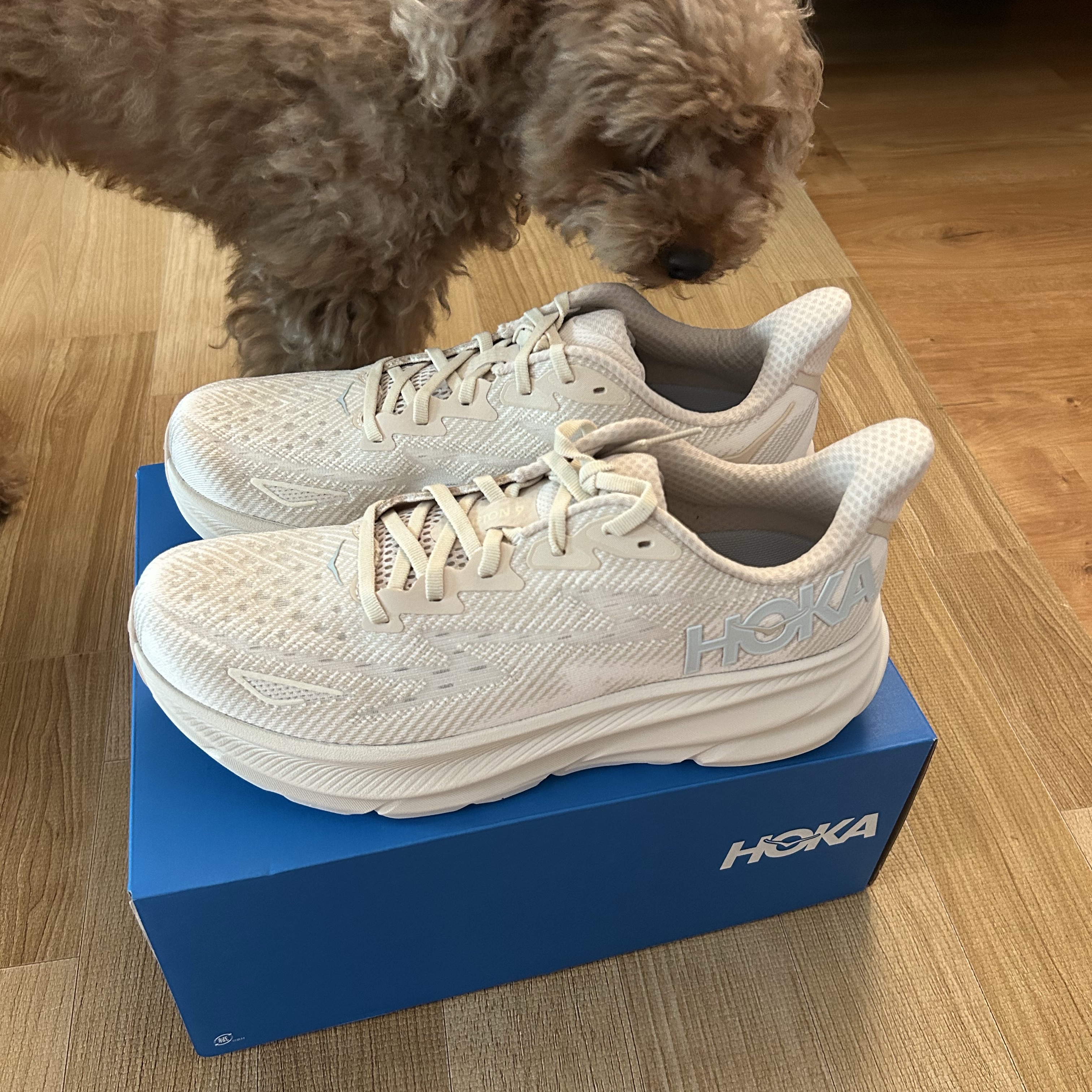 (W) Hoka Clifton 9 Shifting Sand - Regular 착용 스타일