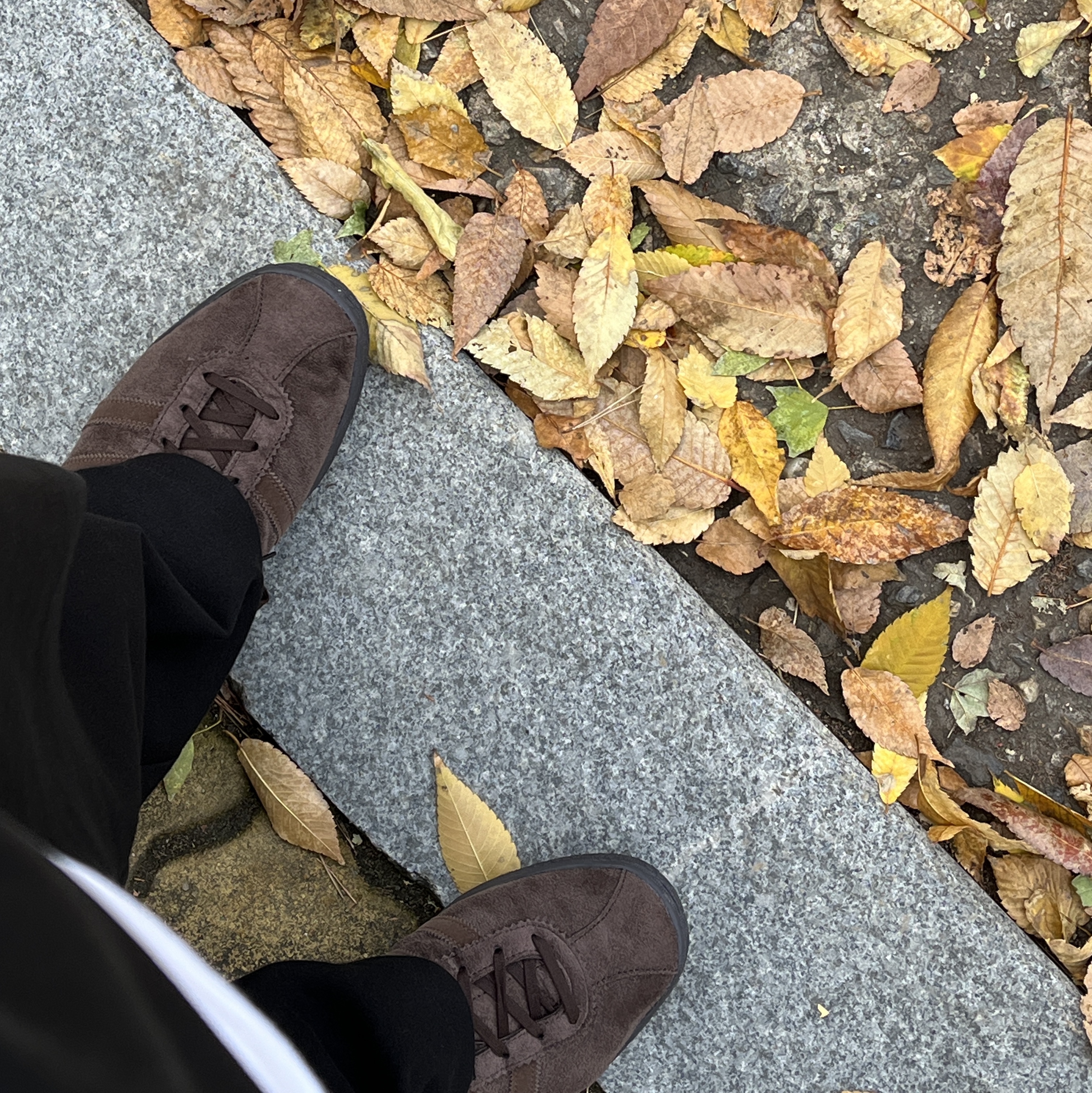 Adidas Tobacco Gruen Dark Brown 착용 스타일