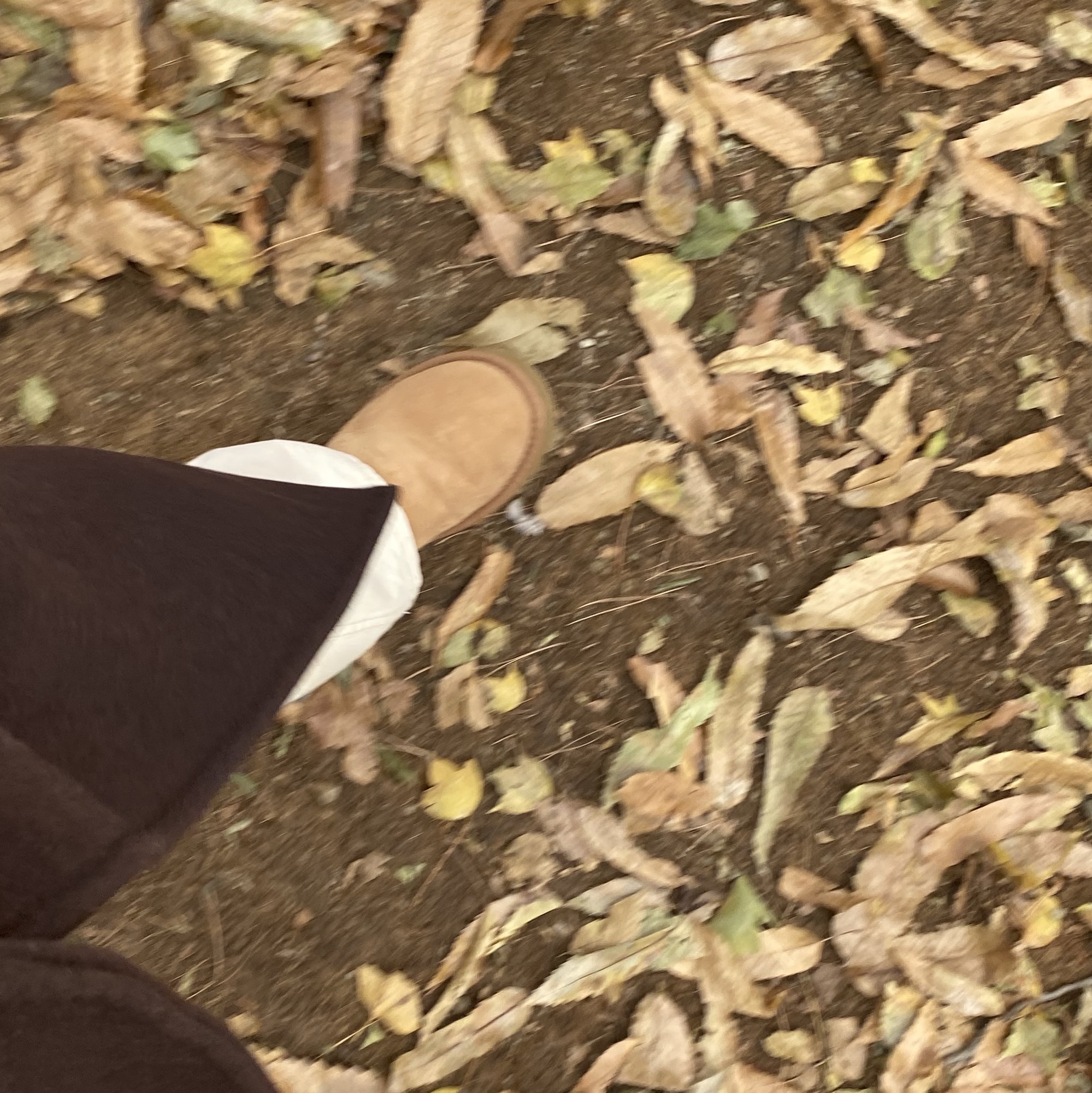 (W) UGG Classic Short II Boots Chestnut 착용 스타일