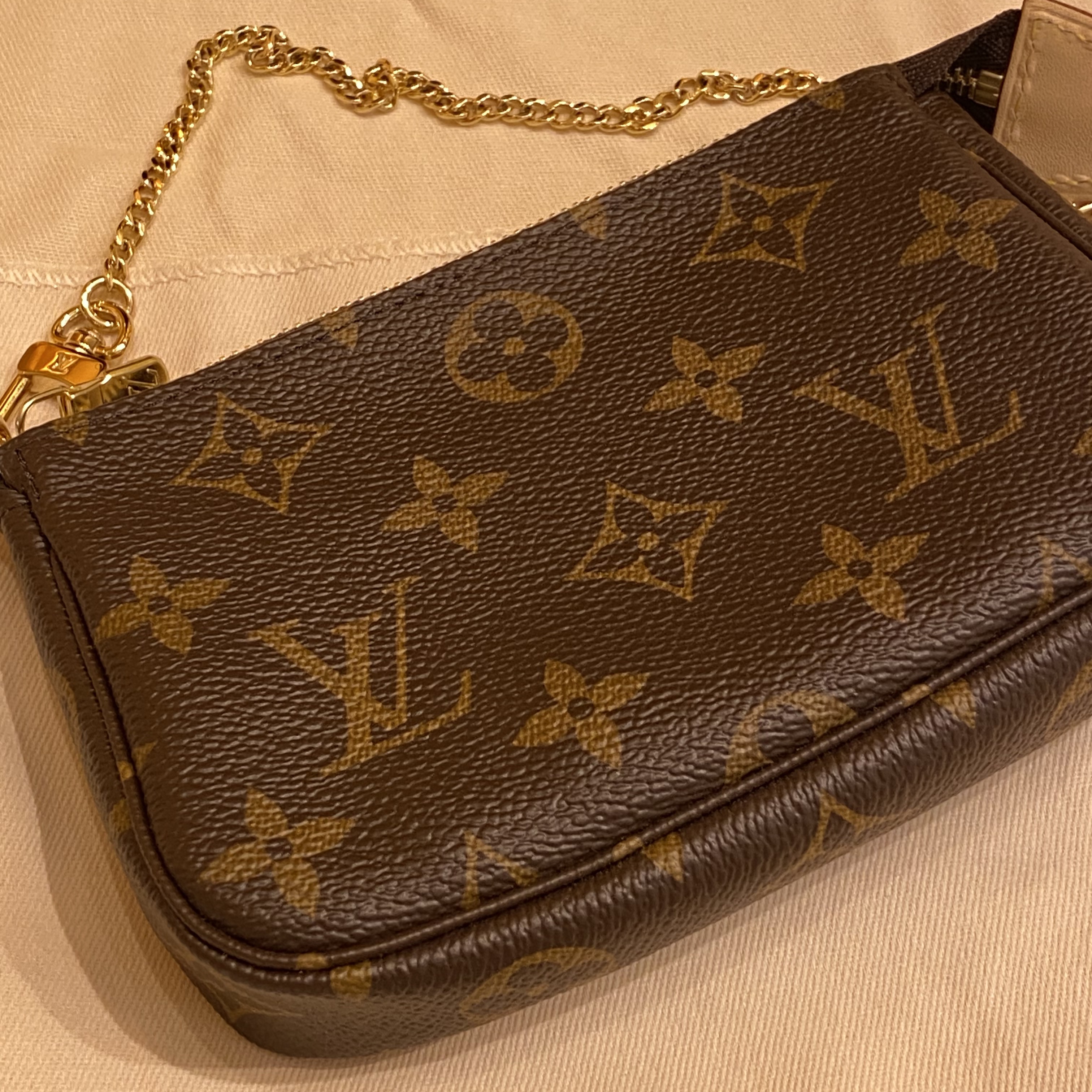Louis Vuitton Mini Pochette Accessoires Monogram 착용 스타일