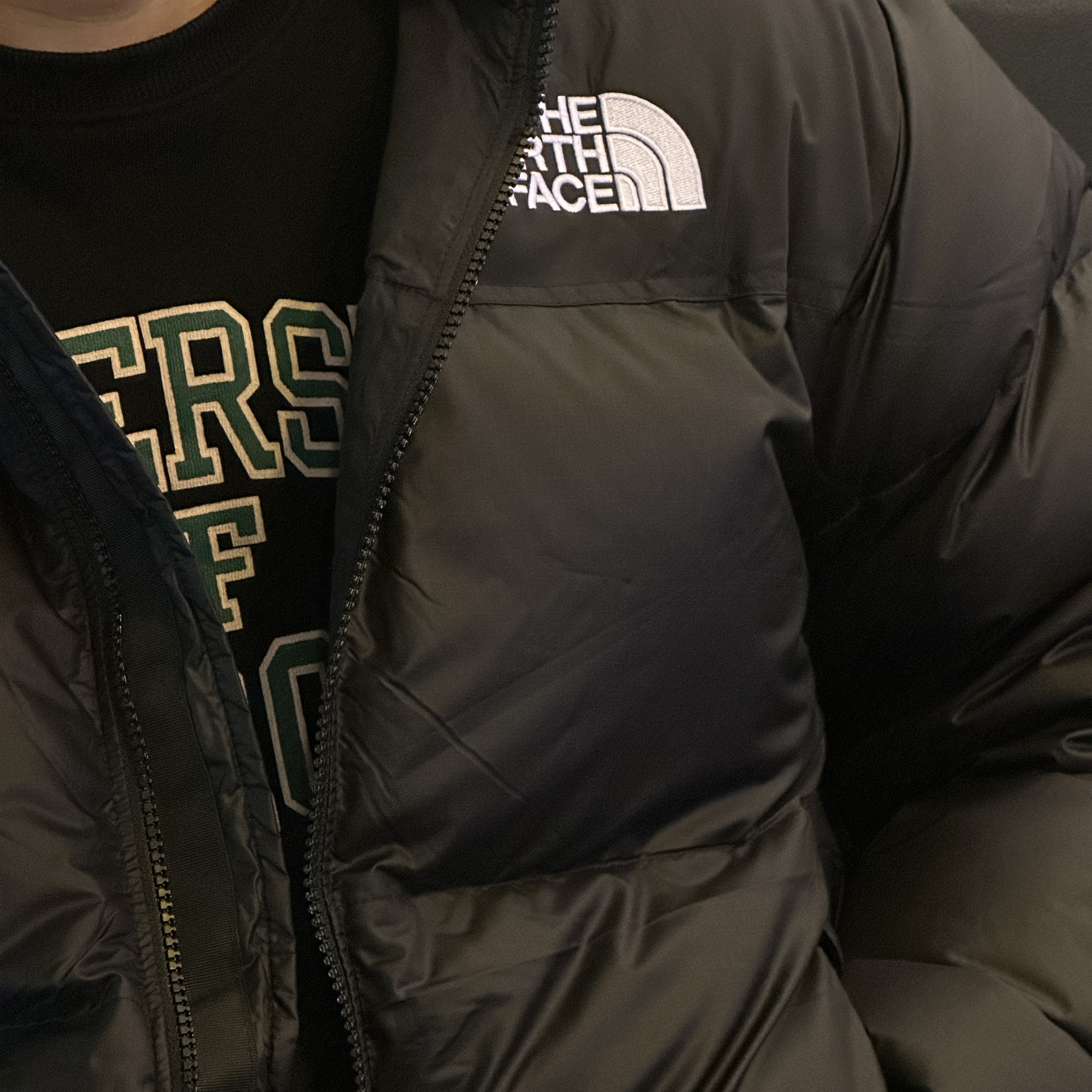The North Face 1996 Eco Nuptse Jacket Black 착용 스타일 - 2
