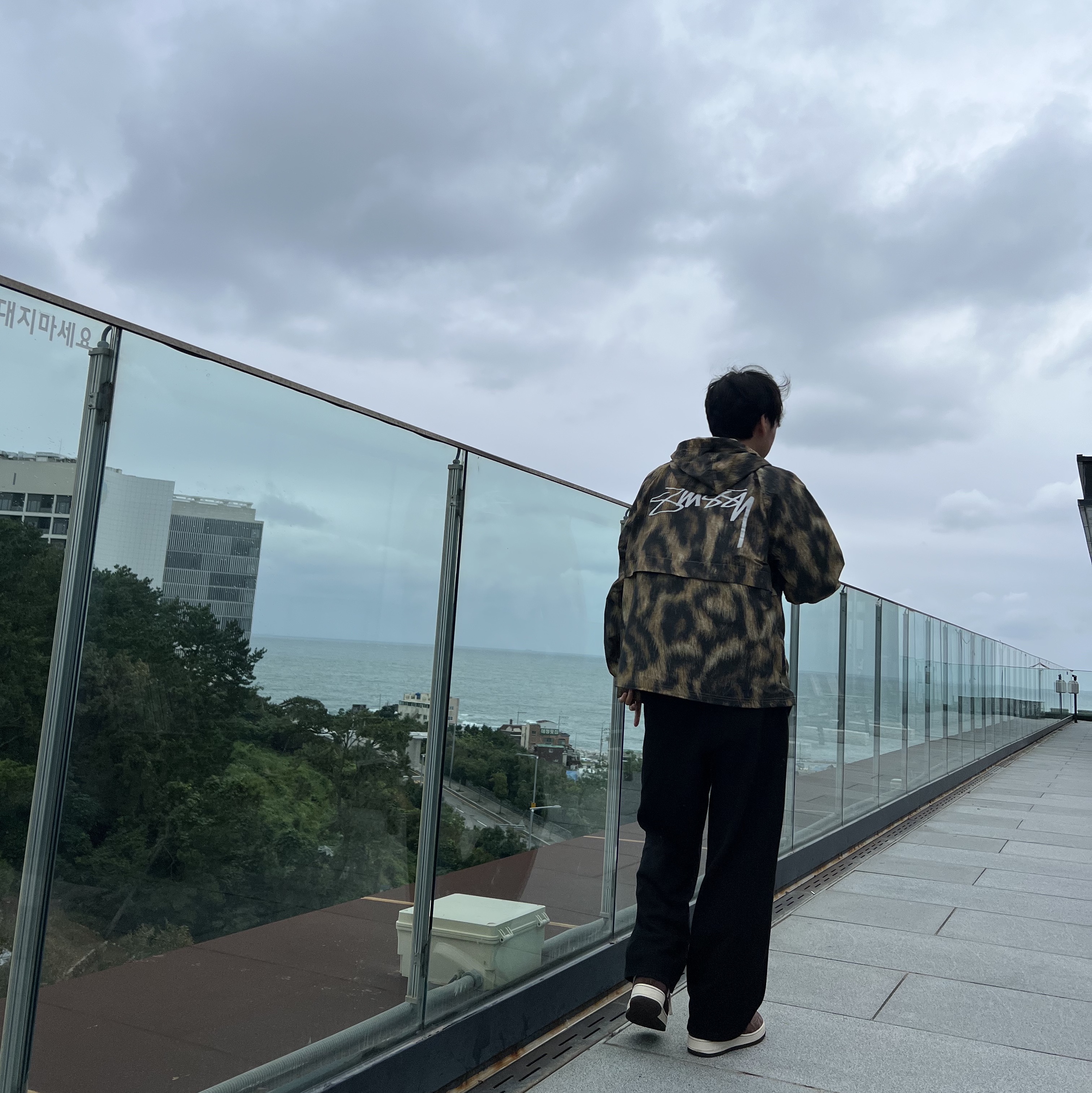 Stussy Fur Print Beach Shell Jacket Brown 착용 스타일