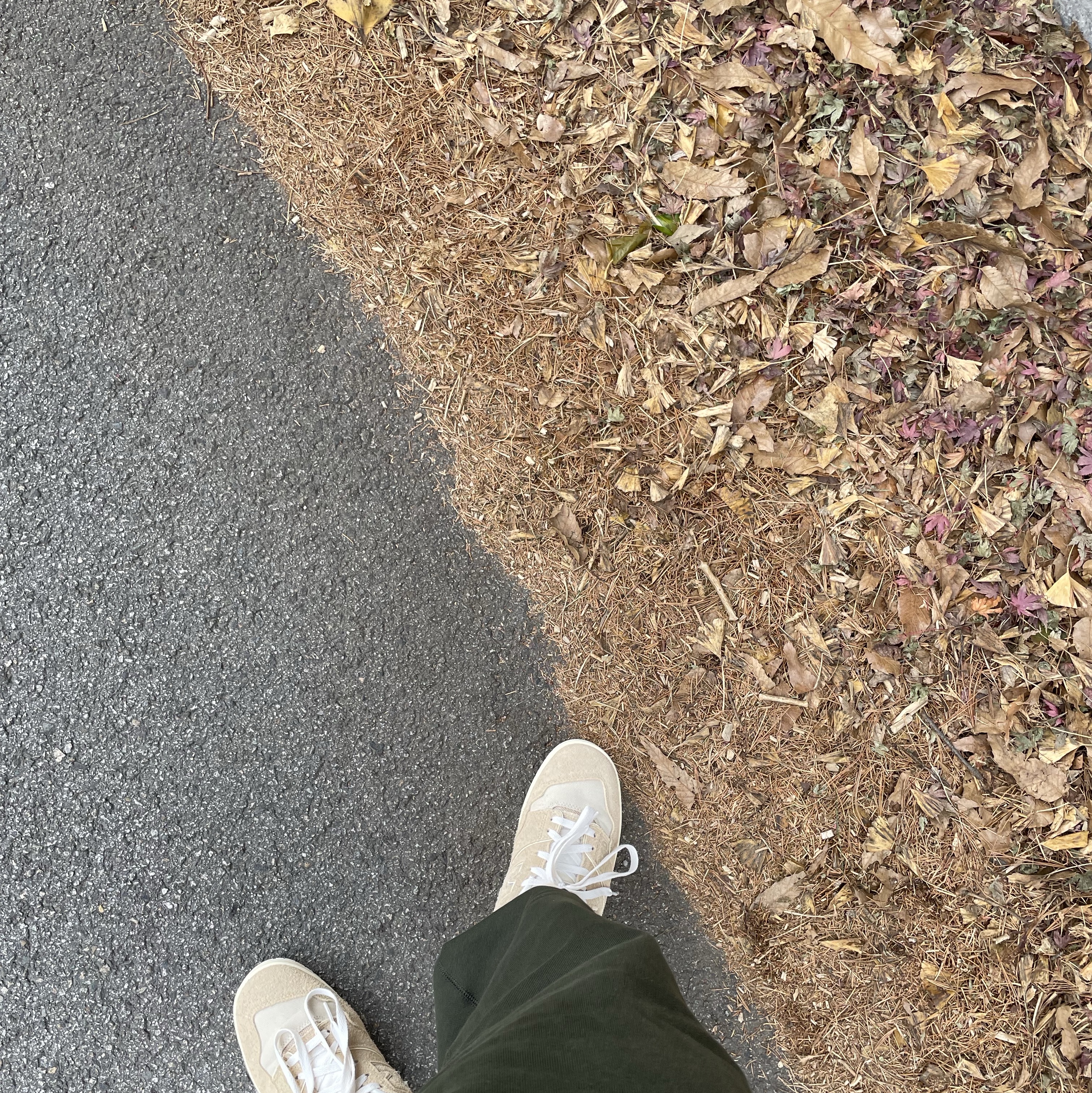 New Balance x Aime Leon Dore 550 Warm Sand, Nike x Billie Eilish NRG Fleece Hoodie Sequoia - US/EU 착용 스타일
