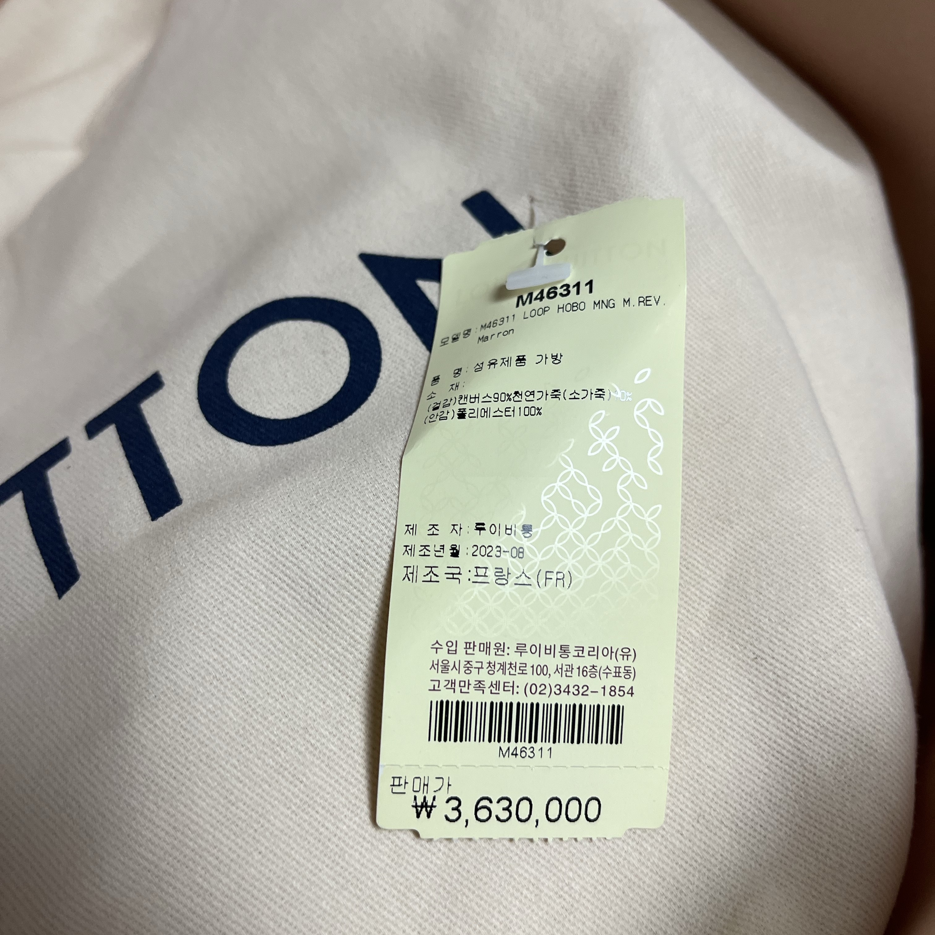 Louis Vuitton Loop Hobo Monogram 착용 스타일 - 1