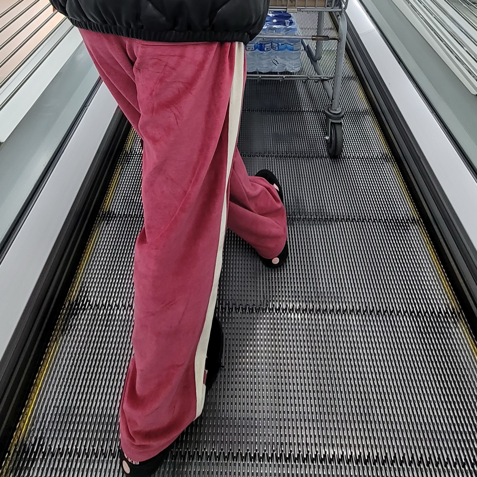 Champion x Thisisneverthat Velour Track Pants Plum 착용 스타일