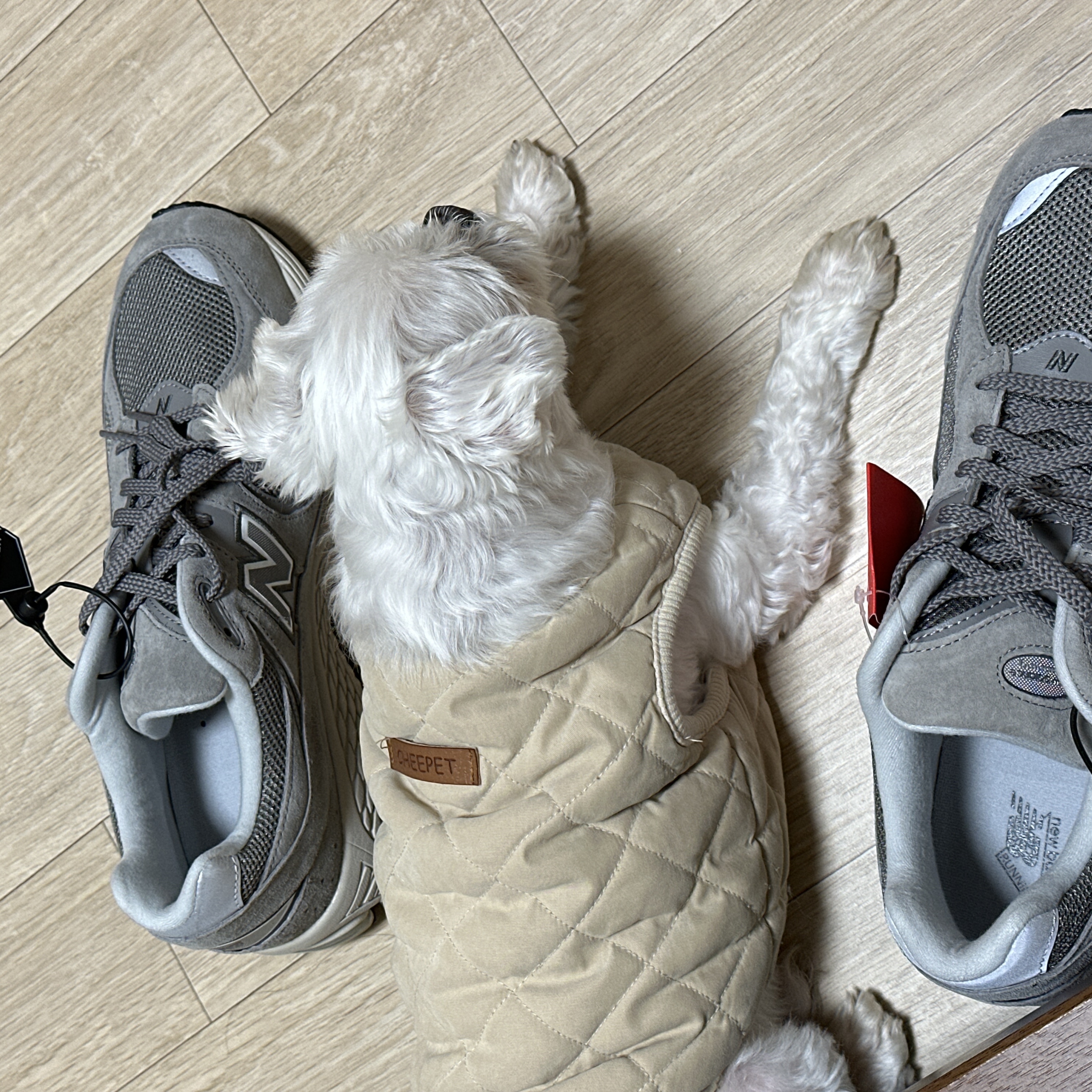New Balance 2002R Grey 착용 스타일