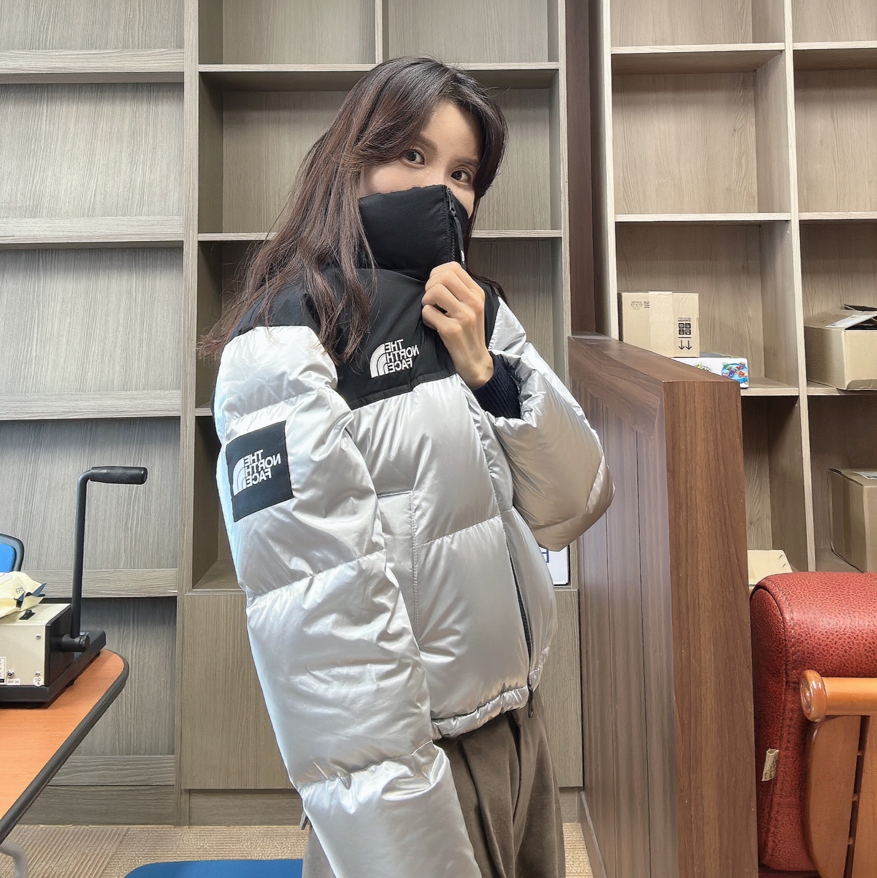 (W) The North Face White Label Novelty Nuptse Down Jacket SE Silver 착용 스타일