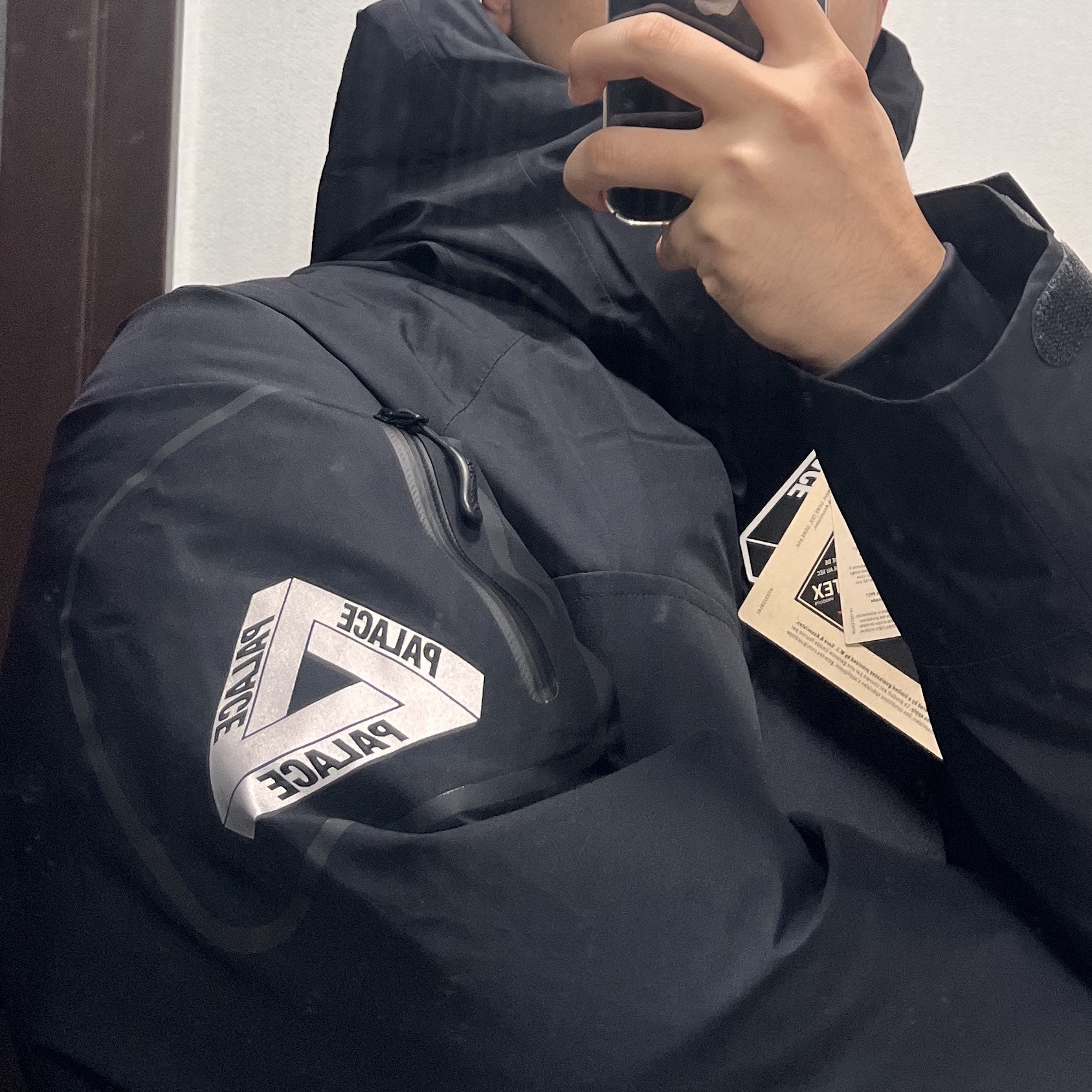 Palace Gore-Tex Cargo Down Parka Black - 23FW 착용 스타일