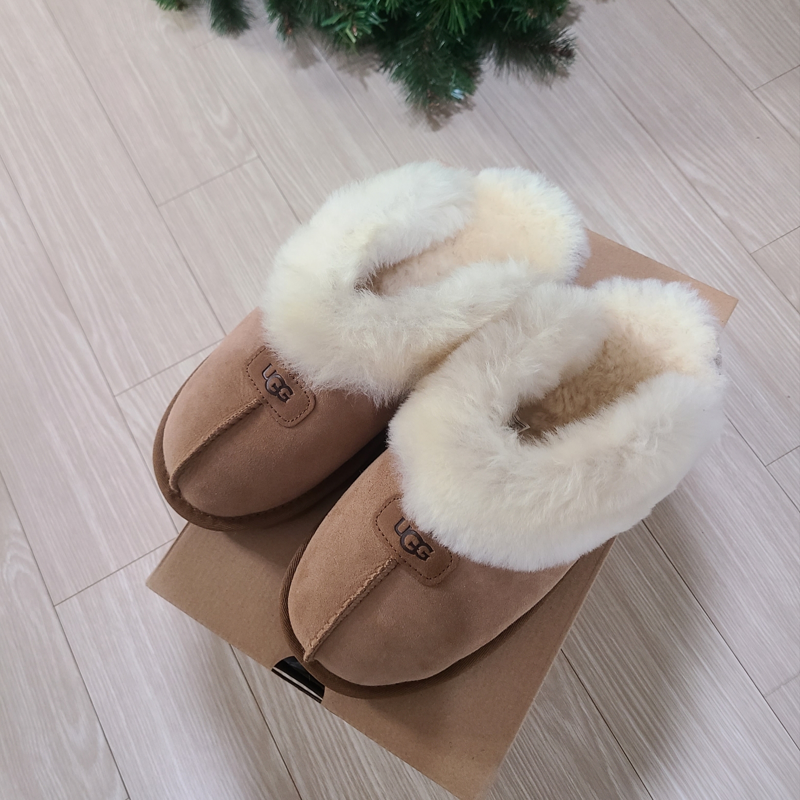 (W) UGG Coquette Slipper Chestnut 착용 스타일
