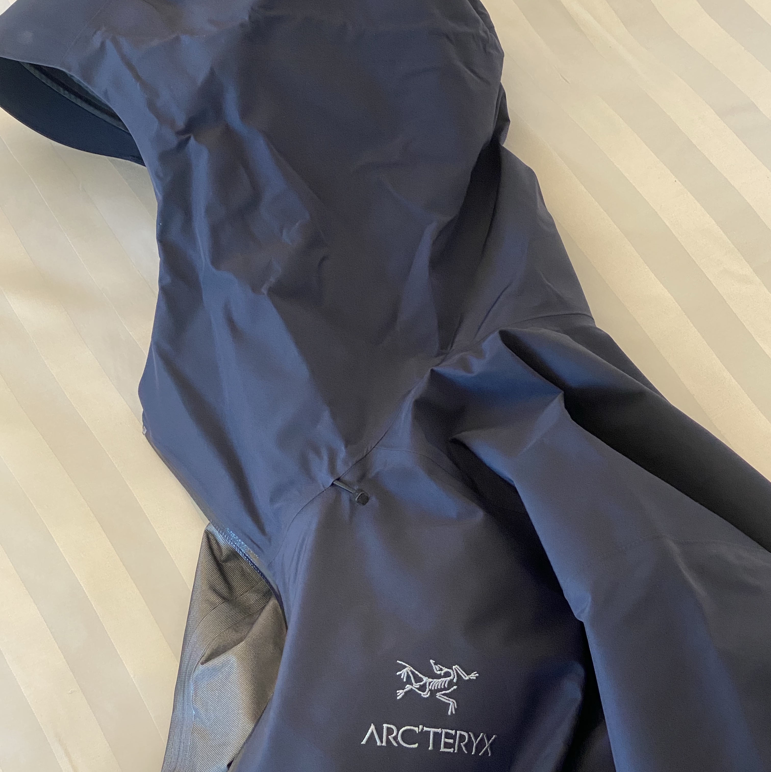 Arc'teryx Beta LT Jacket Black Sapphire 착용 스타일 - 2