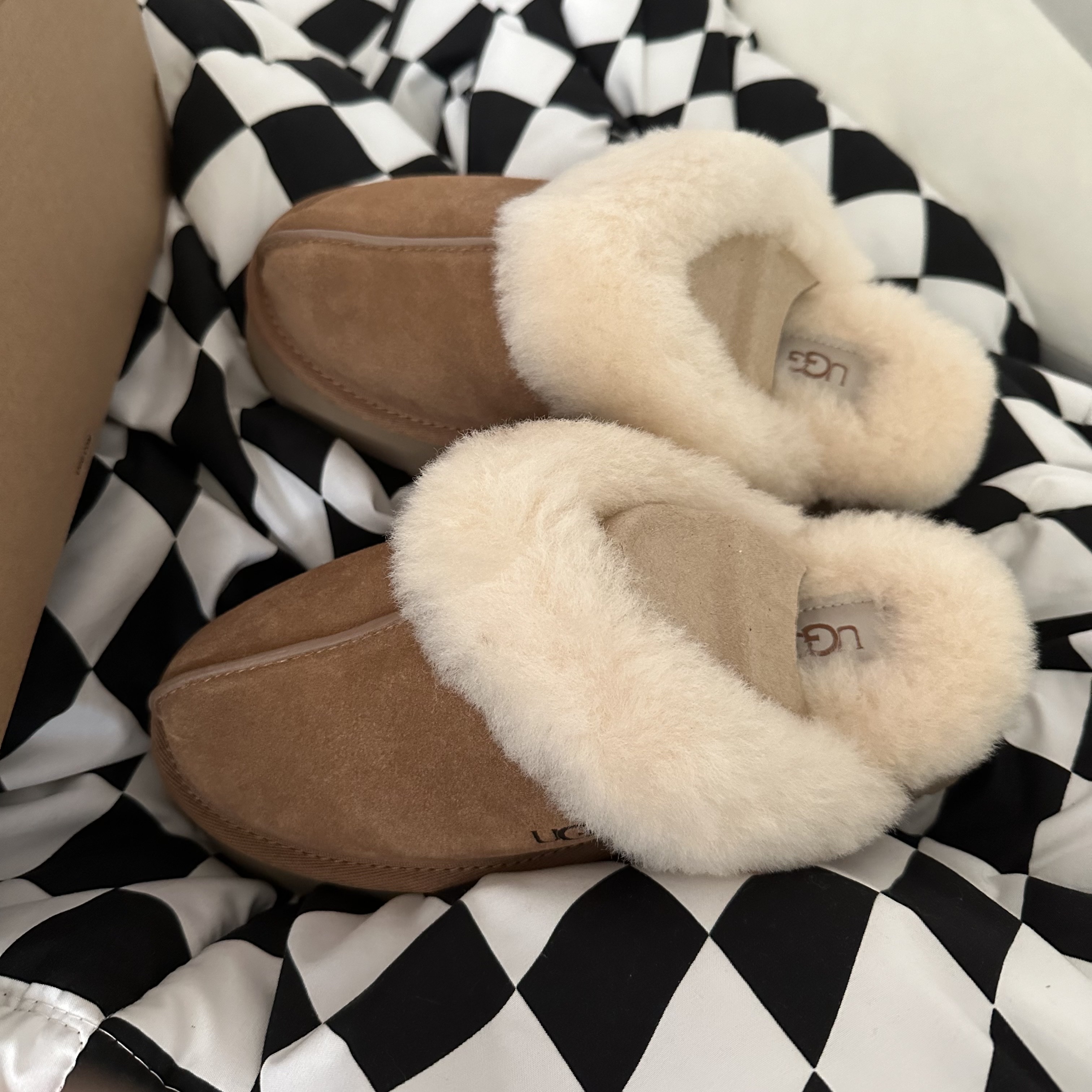 (W) UGG Disquette Slipper Chestnut 착용 스타일