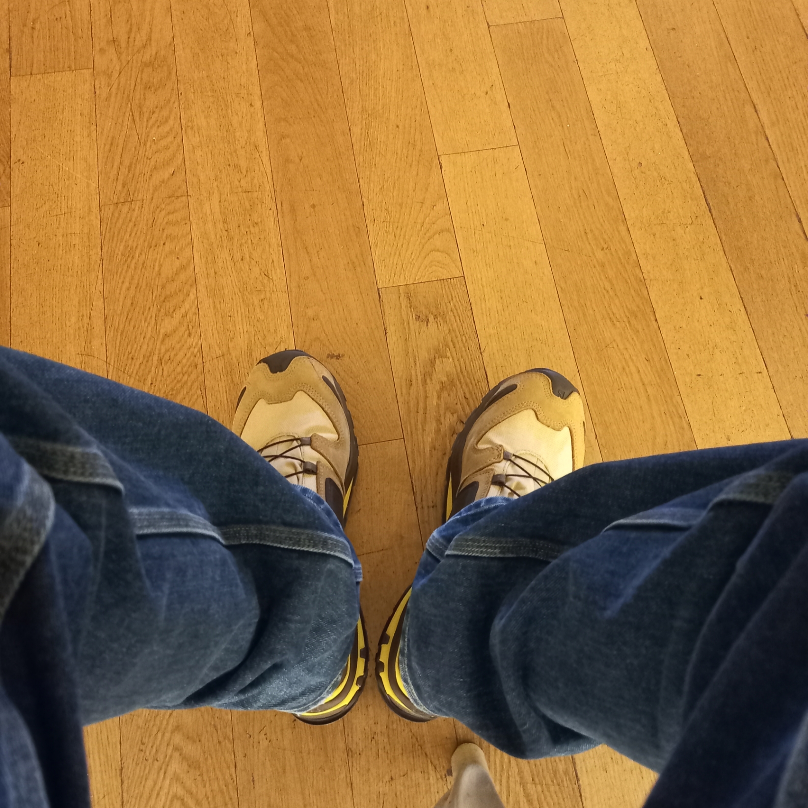 Salomon x Better Gift Shop XA Pro 3D Mid Gore-Tex Safari 착용 스타일