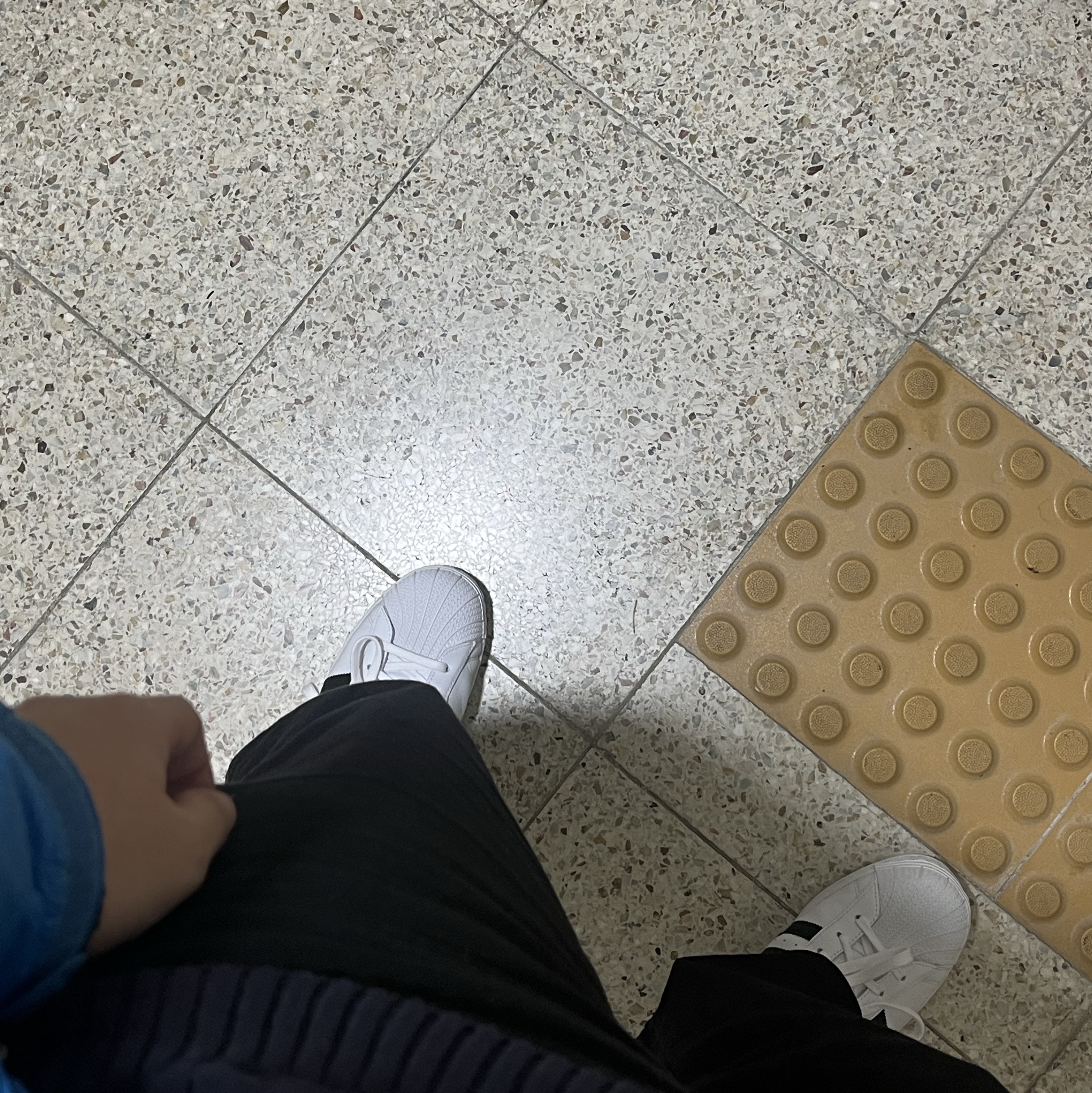 Adidas Superstar White Black 착용 스타일
