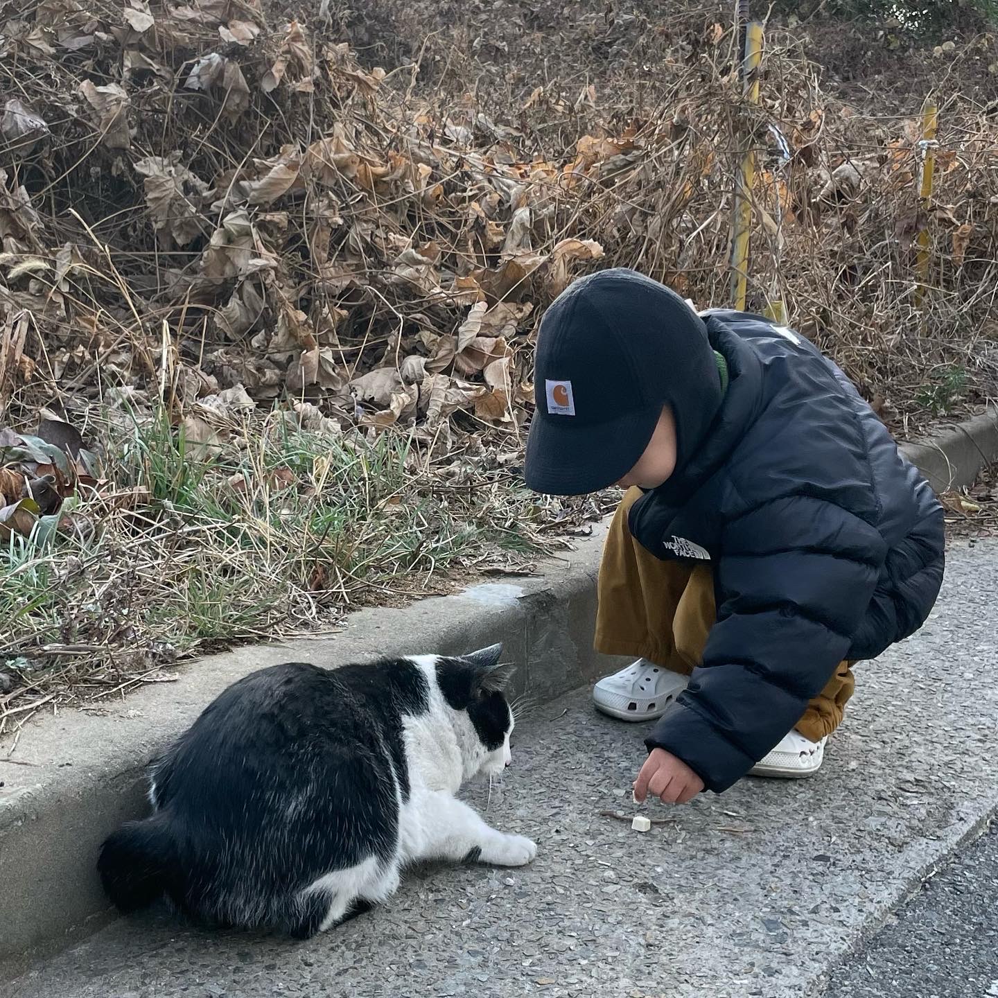 🩷❤️🧡💛💚🩵💙💜🖤🩶🤍🤎님의 스타일 - 2