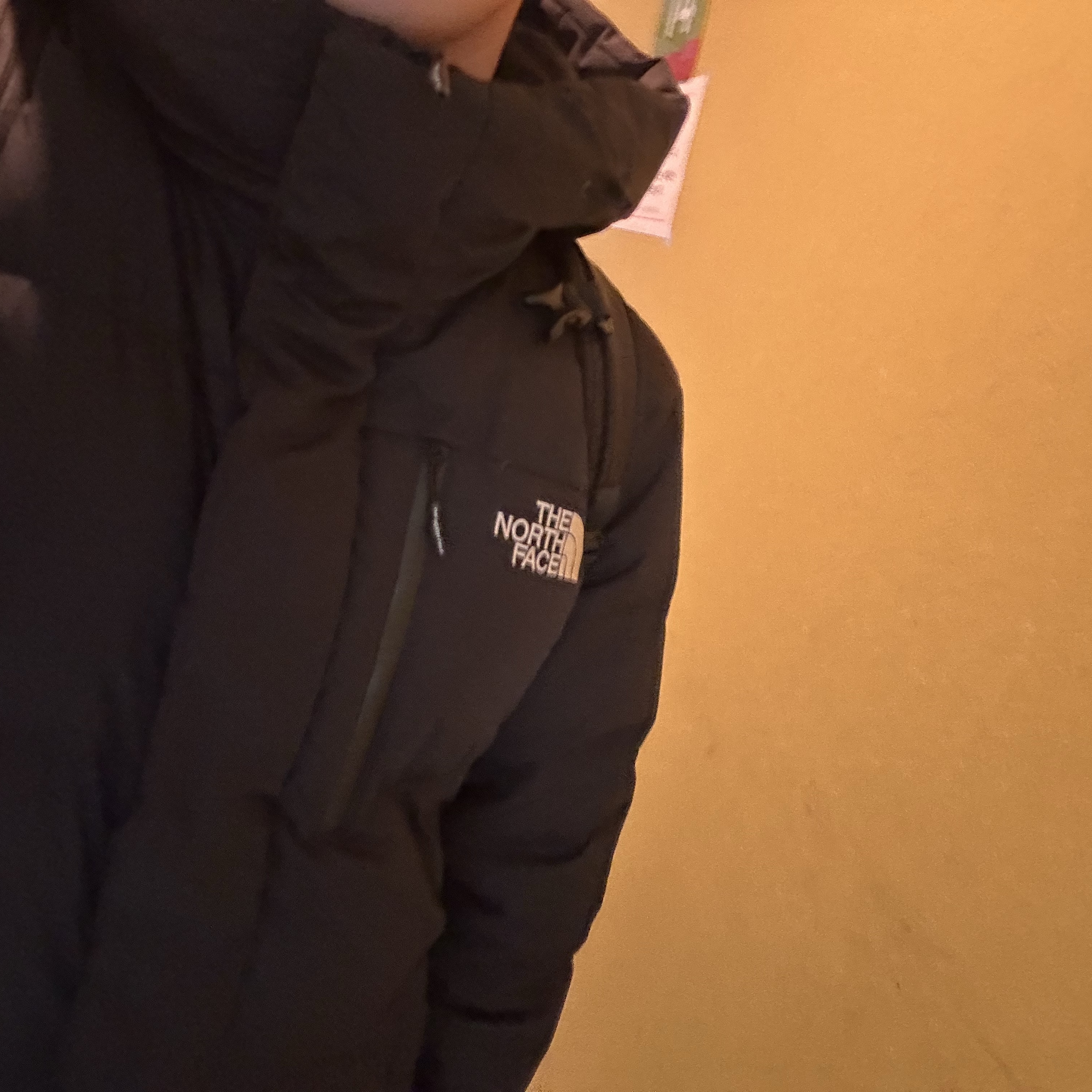 The North Face White Label Go Free Down Coat Black 착용 스타일