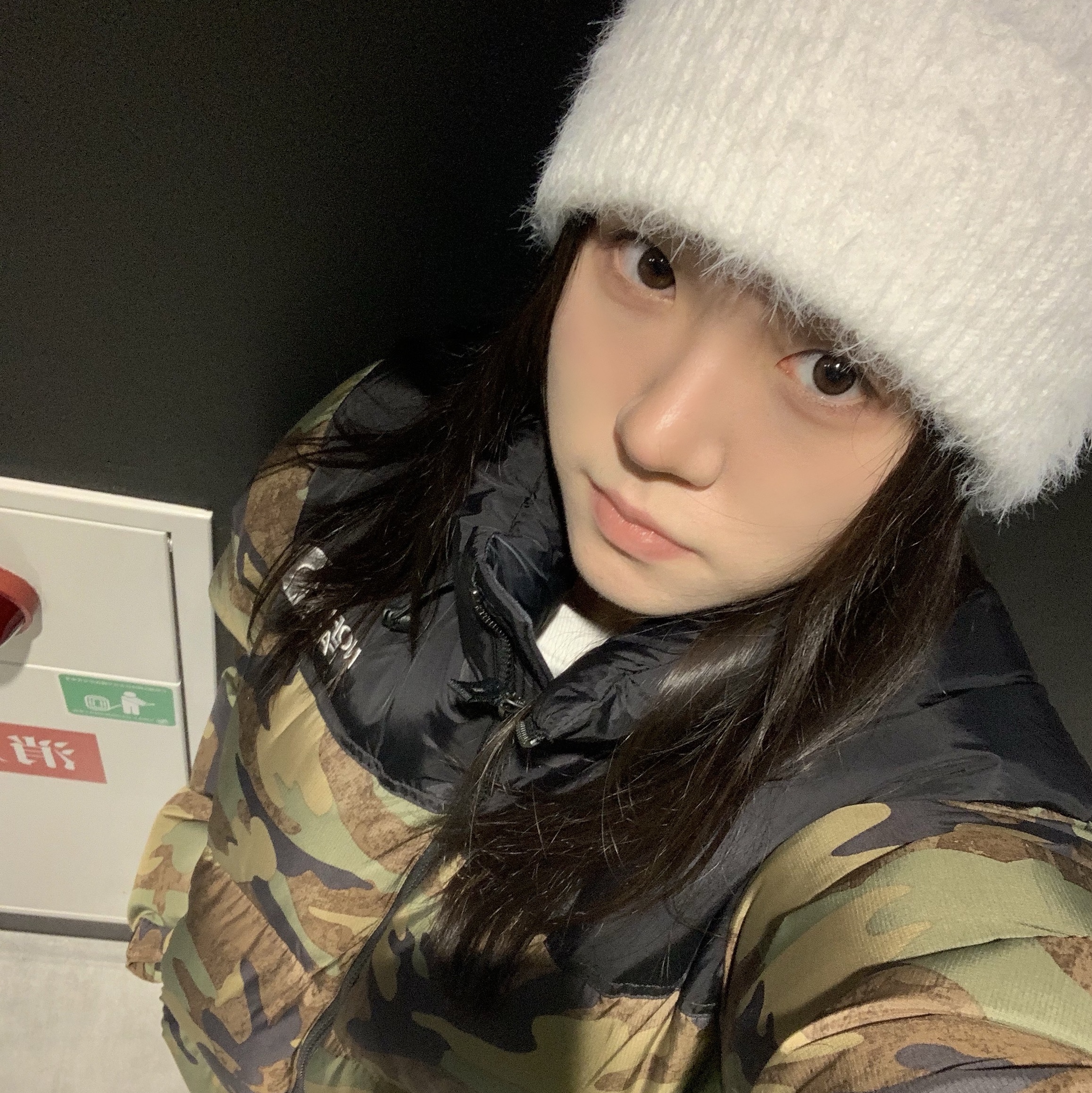 The North Face 1996 Novelty Nuptse Jacket Woodland Camo 착용 스타일 - 1