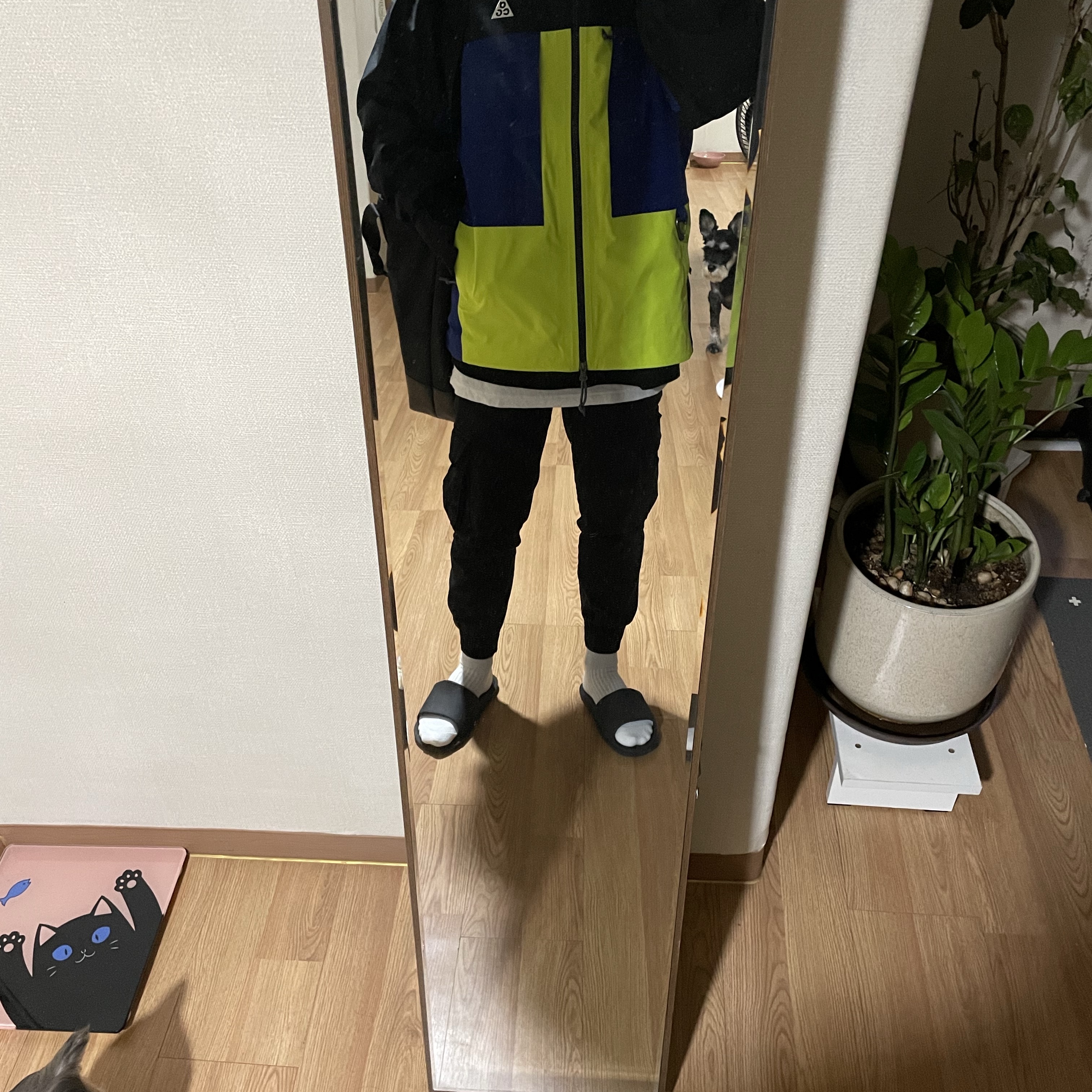 Nike ACG Gore-Tex Misery Ridge Jacket Deep Royal Blue Cyber - US/EU 착용 스타일