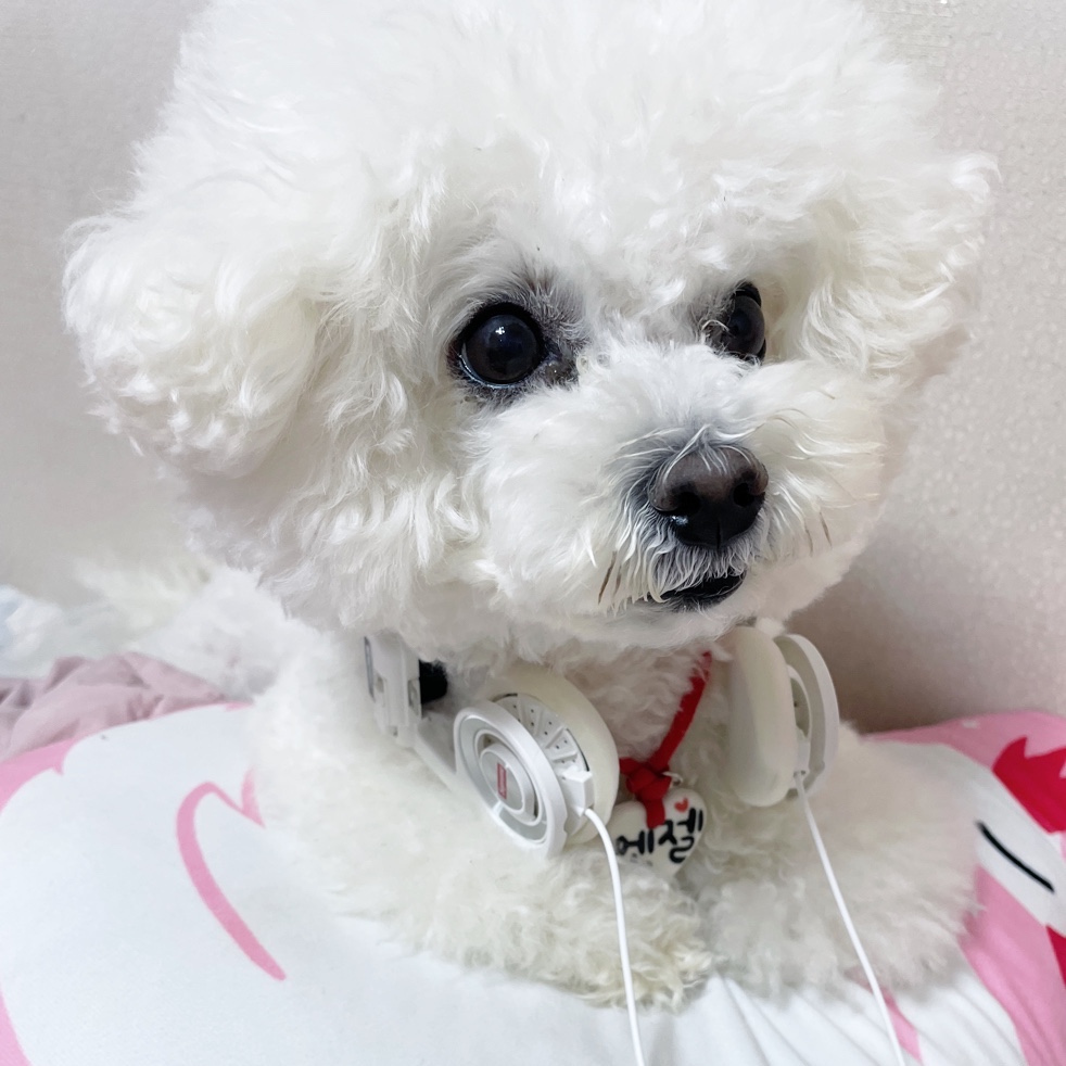 Supreme x Koss Portapro Headphones White - 23FW 착용 스타일