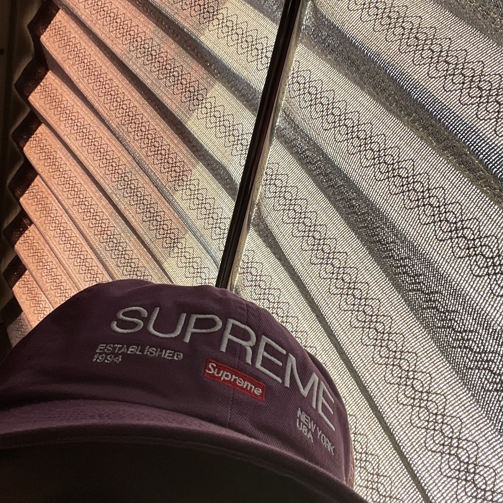 Supreme Est. 1994 6-Panel Purple - 21FW 착용 스타일