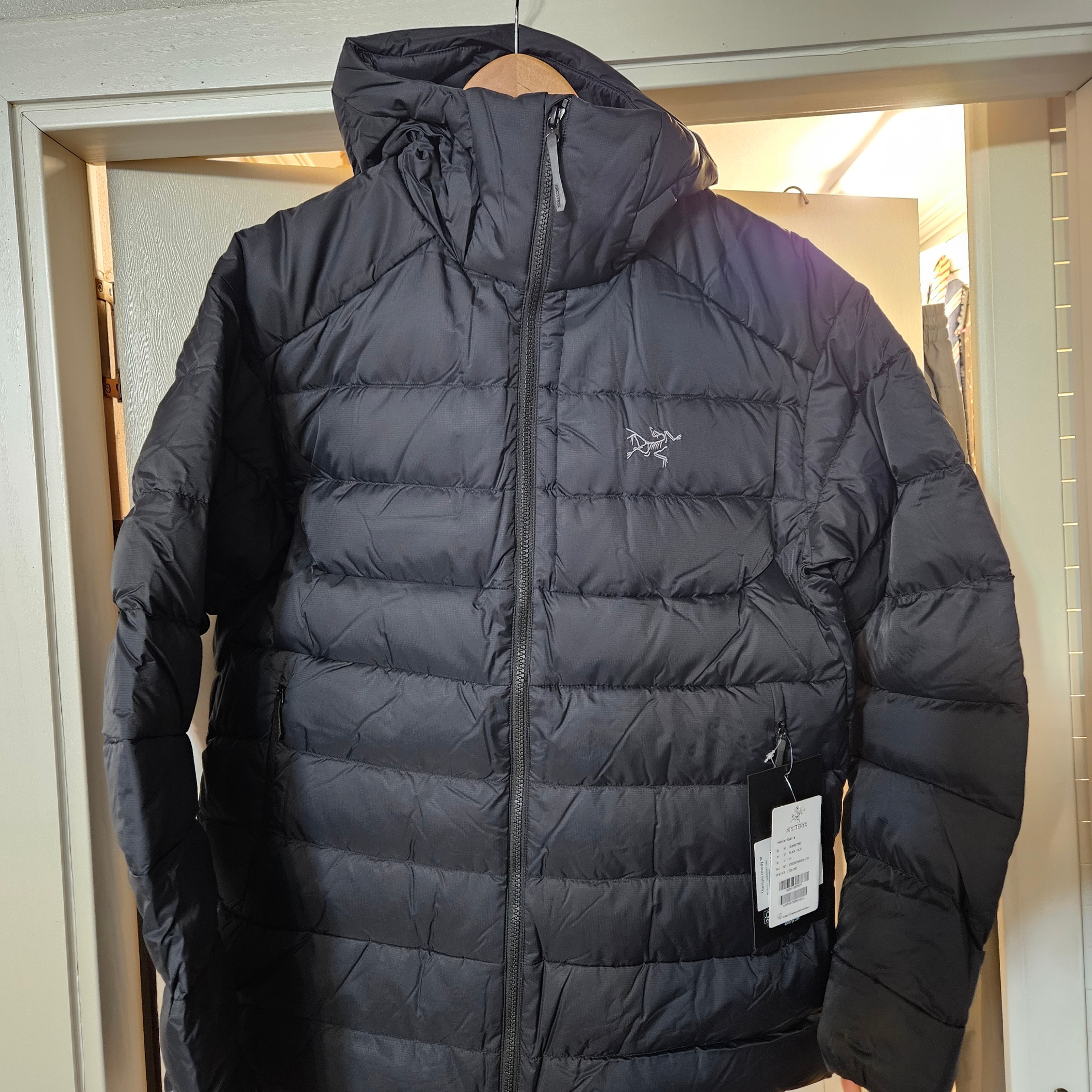 Arc'teryx Thorium Hoody Black 착용 스타일