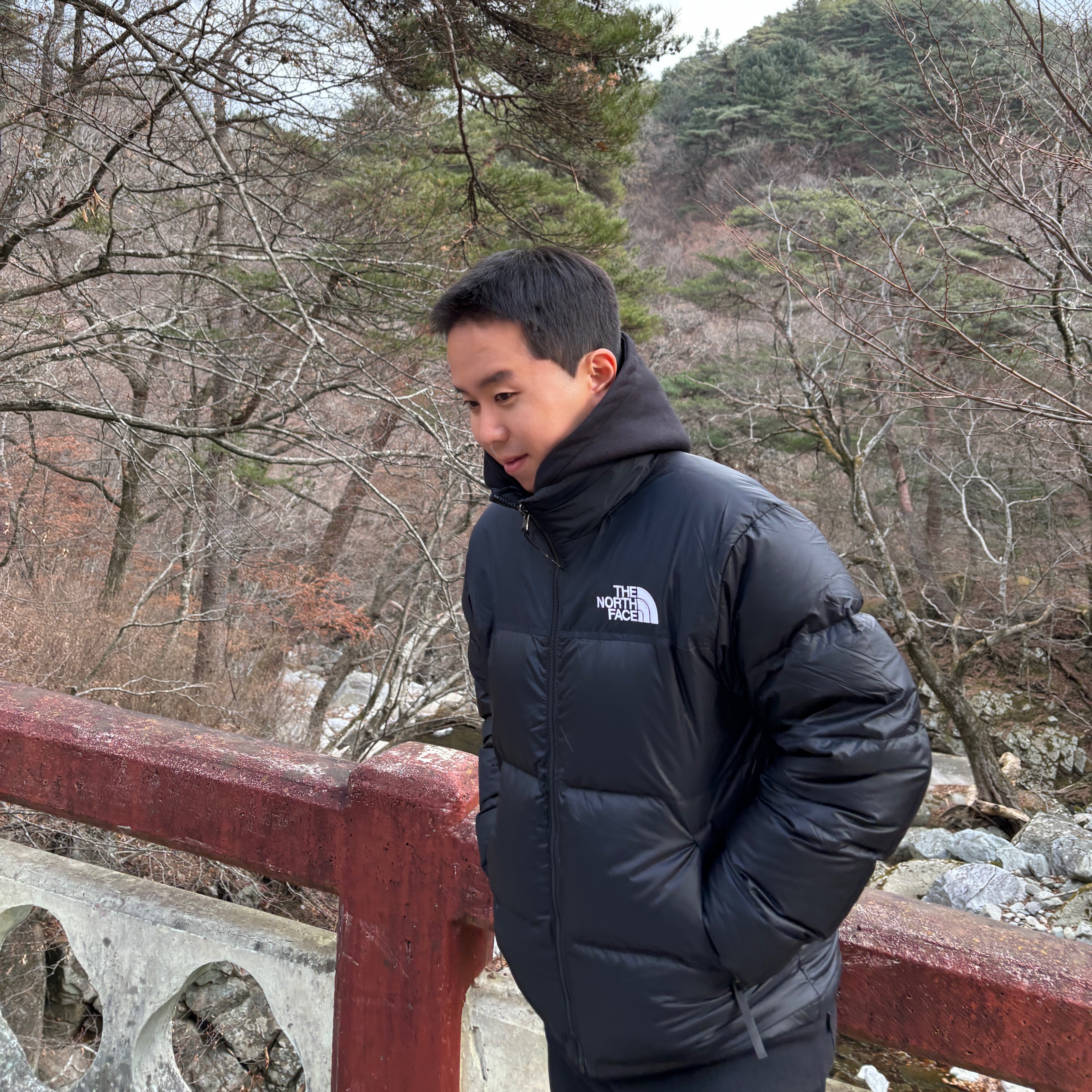 The North Face 1996 Retro Nuptse Jacket Black, Supreme S Logo Zip Up Hooded Sweatshirt Black - 23FW 착용 스타일