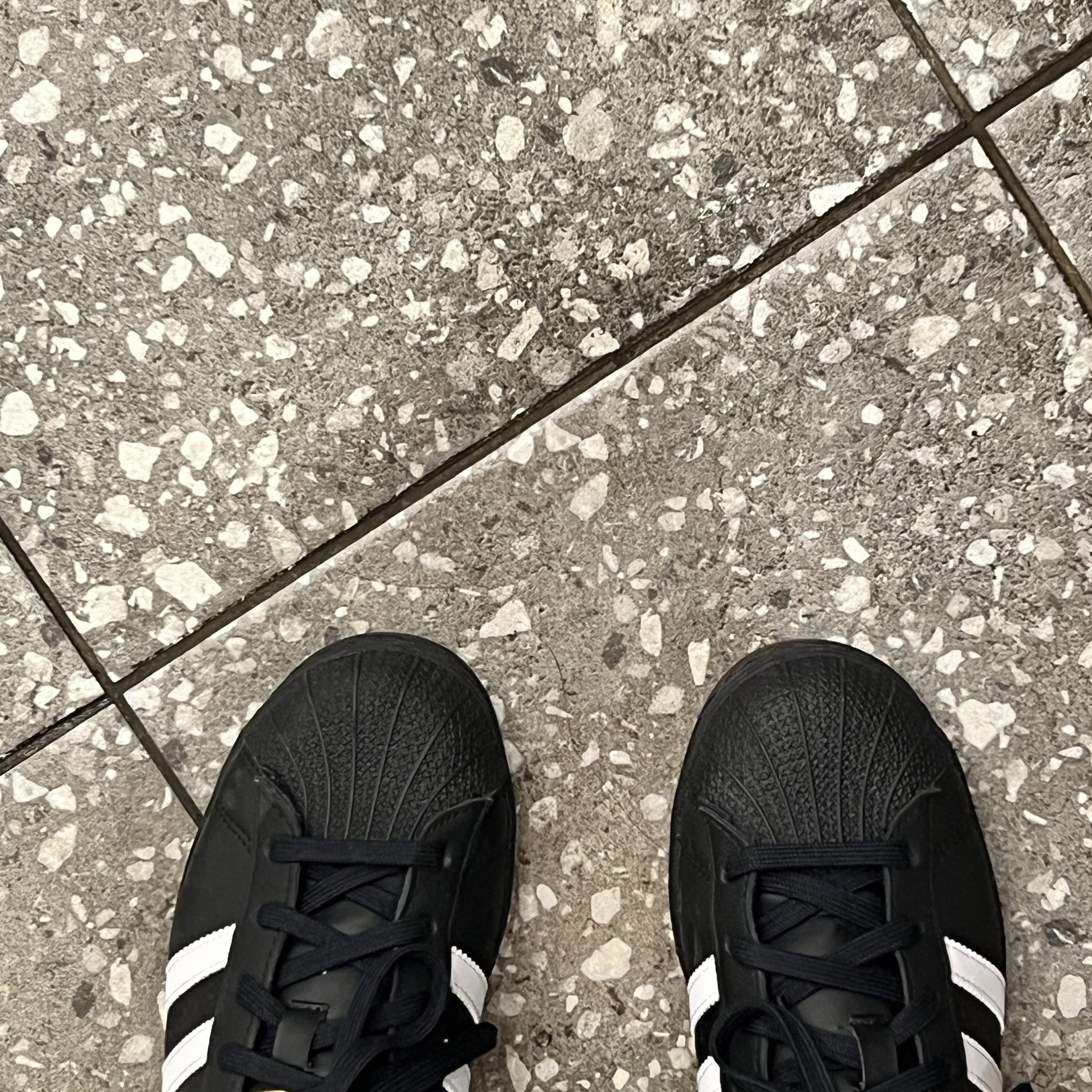 (J) Adidas Superstar Black White 착용 스타일