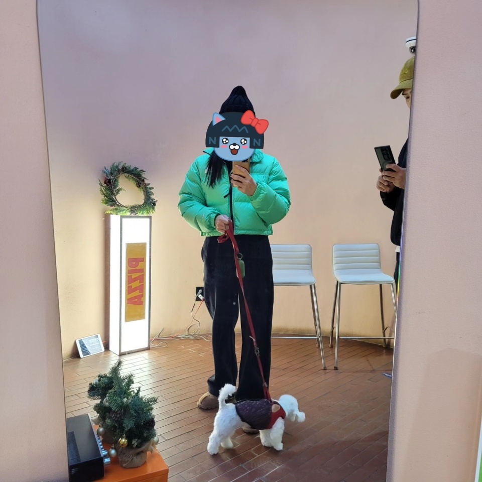 (W) The North Face Nuptse Short Jacket Green 착용 스타일
