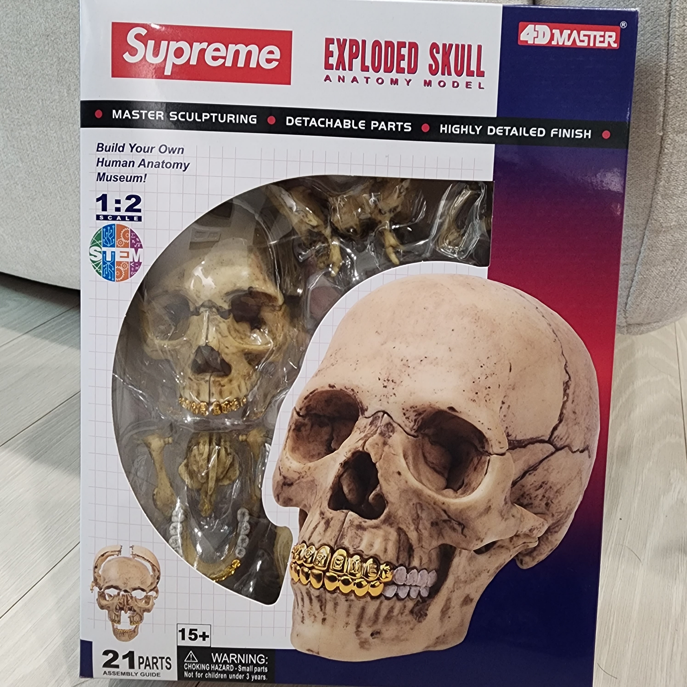 Supreme 4D Model Human Skull Natural - 23FW 착용 스타일