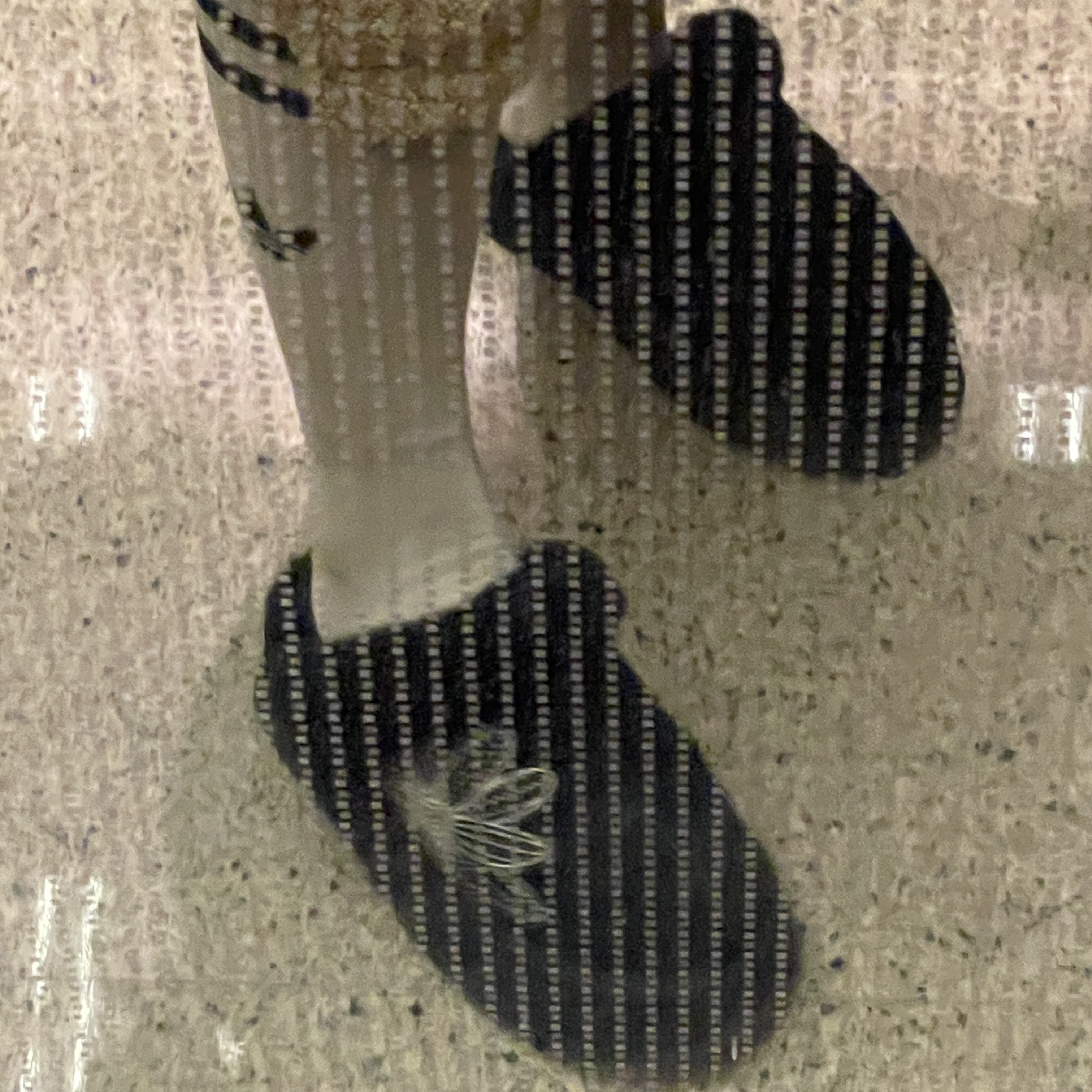 Mardi Mercredi Les Pompes Women Classique Slipper Black, (W) Adidas Adicolor Sherpa Jacket Brown - KR Sizing 착용 스타일