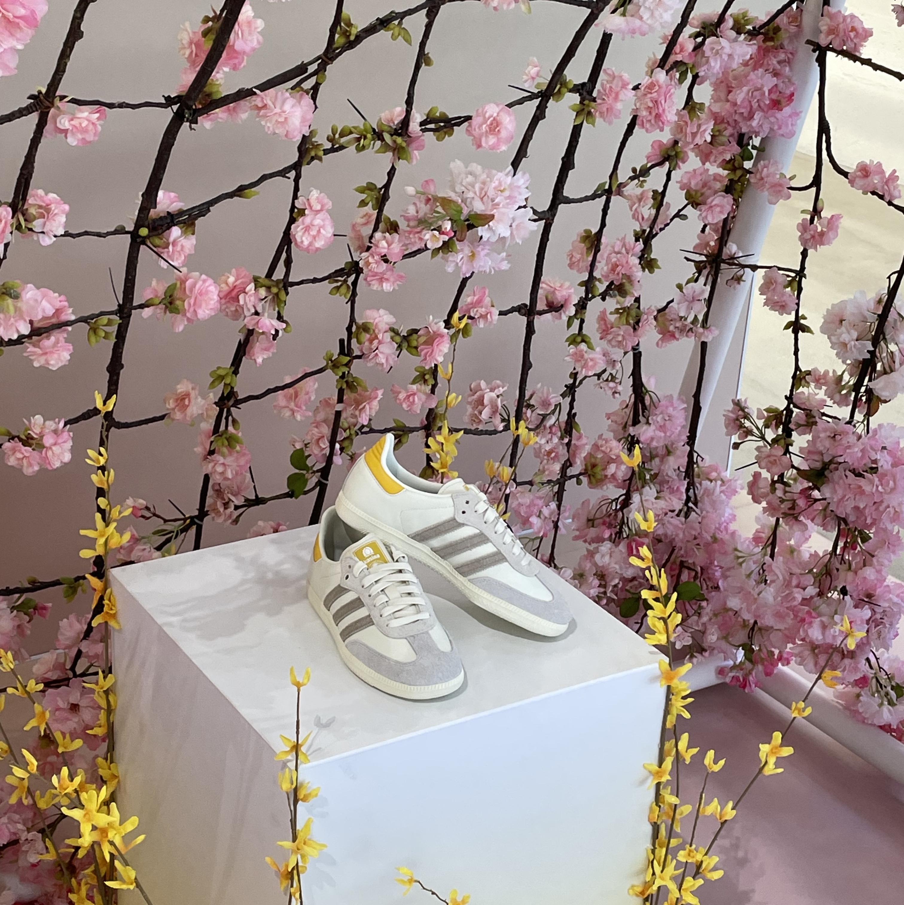 Adidas x Kasina Samba Consortium Cup Off White Trace Khaki 착용 스타일