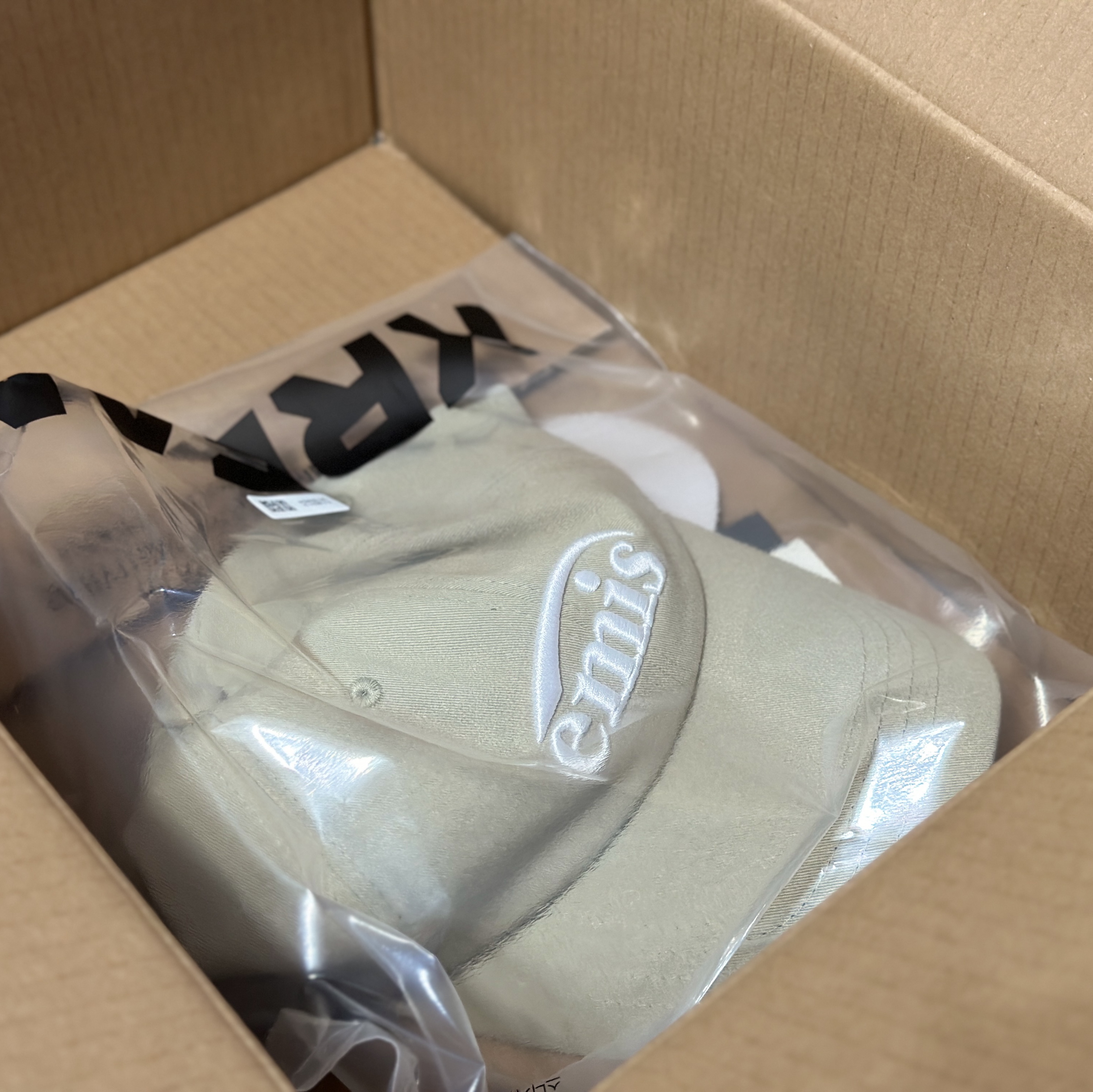 Emis New Logo Emis Cap Beige 착용 스타일 - 1