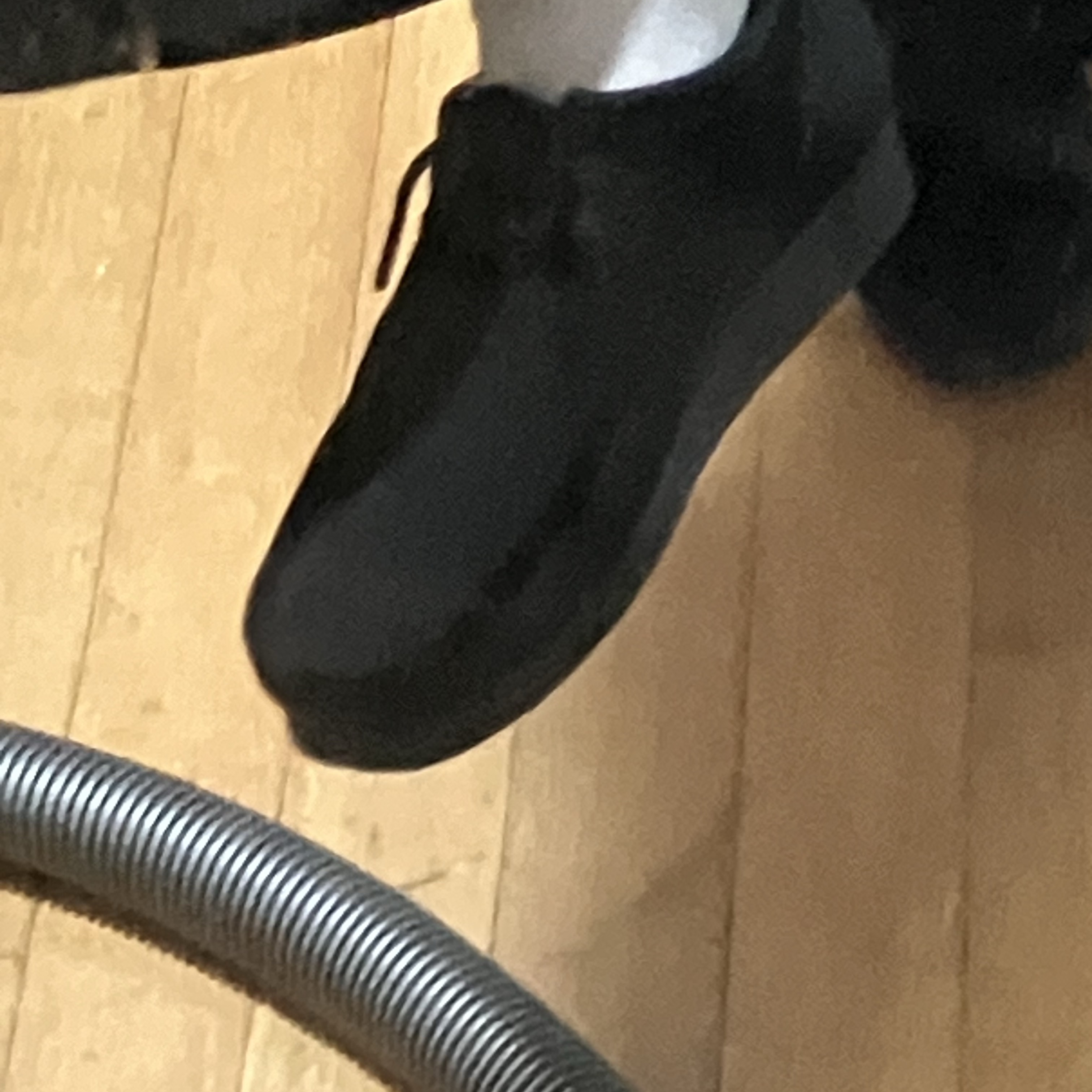 Clarks Wallabee Black Suede 착용 스타일