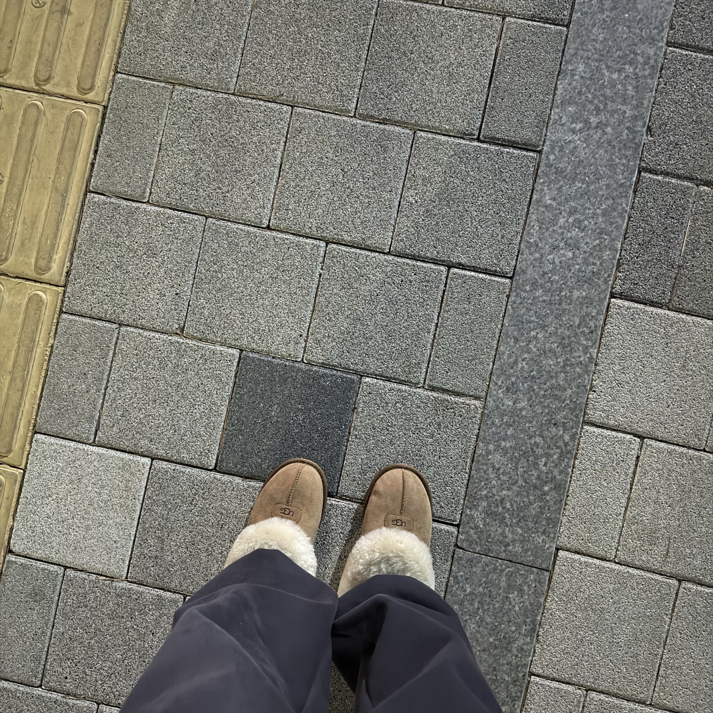 (W) UGG Coquette Slipper Chestnut 착용 스타일